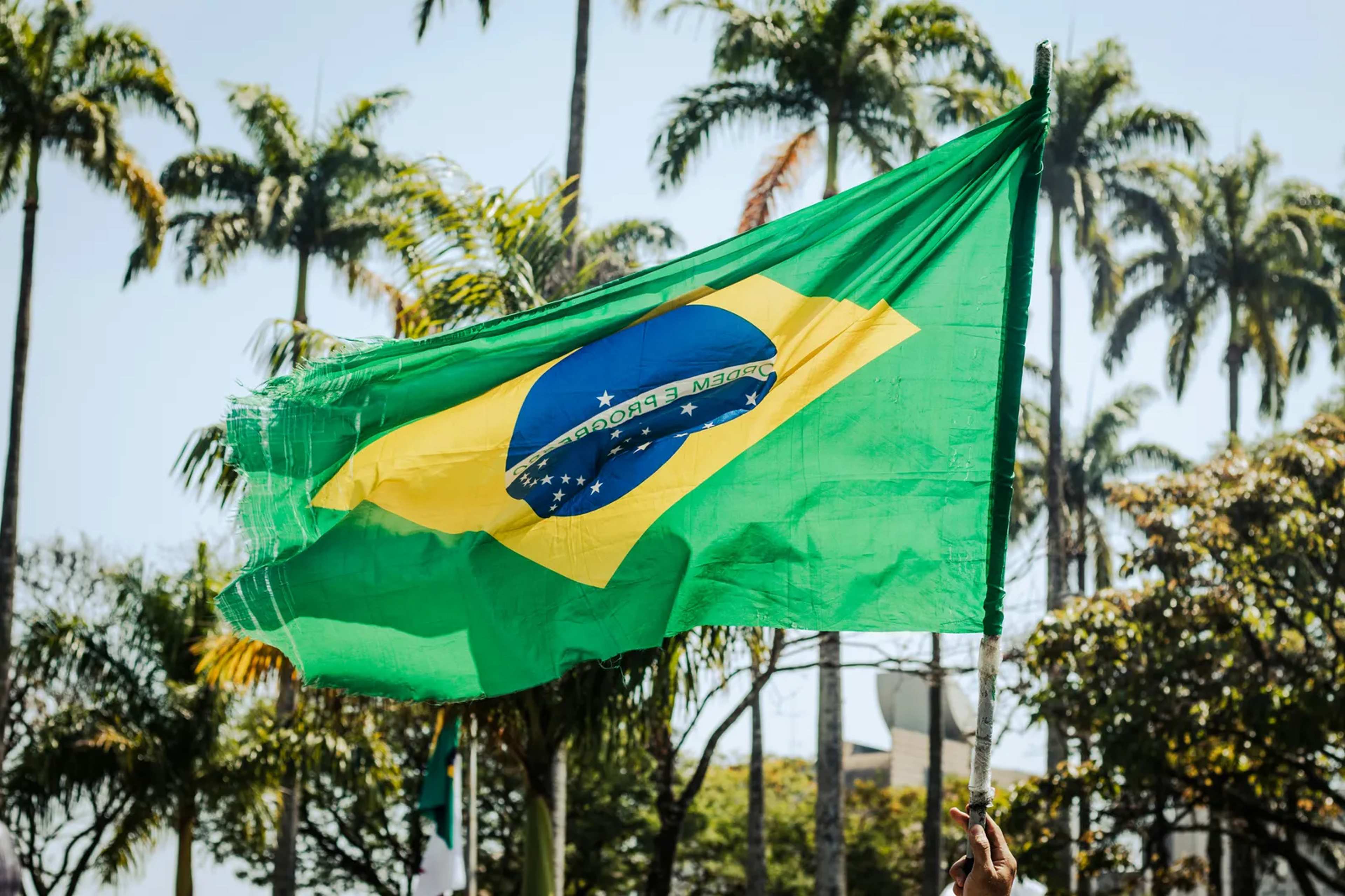 Brazil Election Threatens 95% of the Amazon