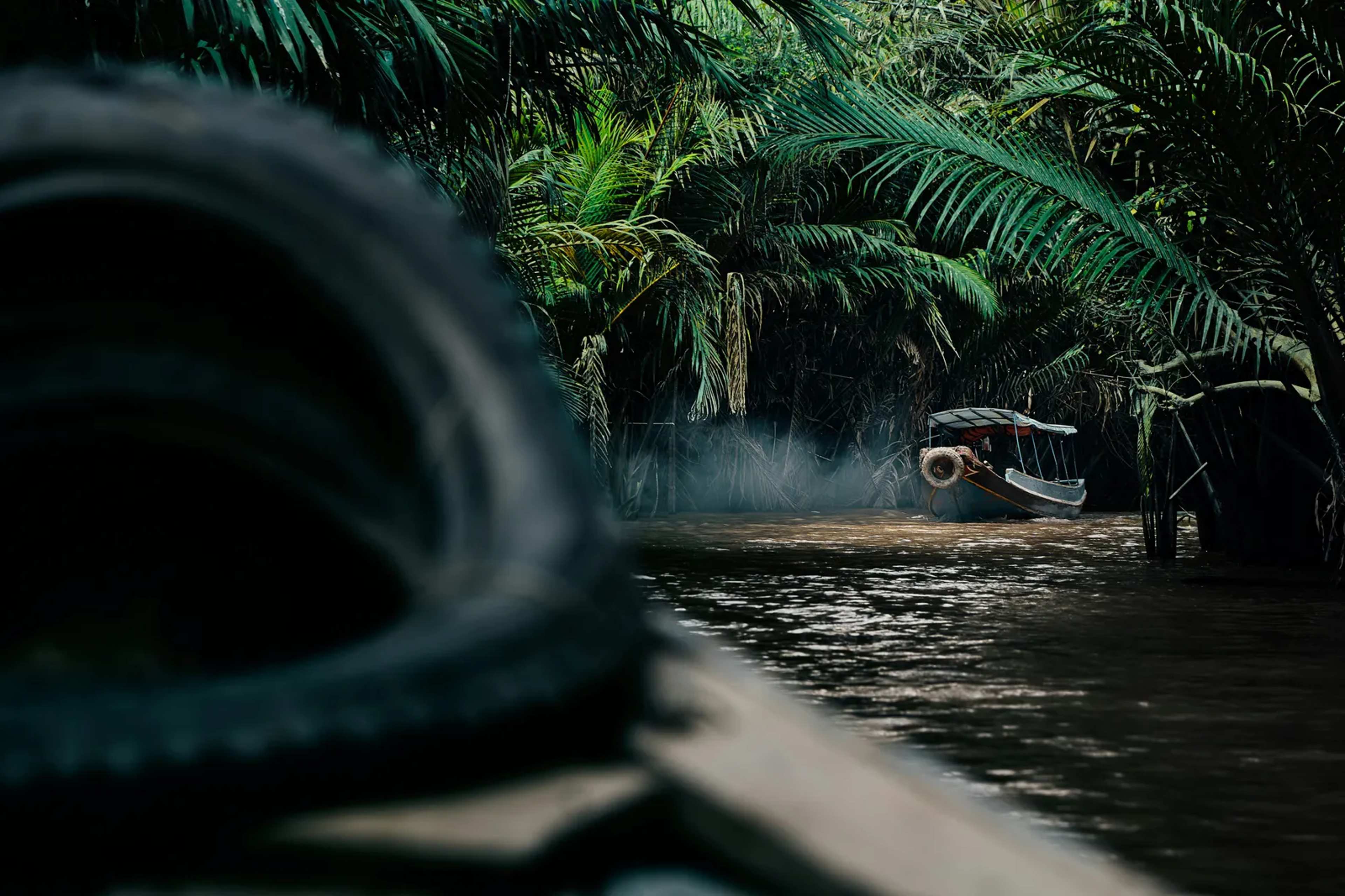 Mekong Lost a Forest the Size of Bangkok in 2025