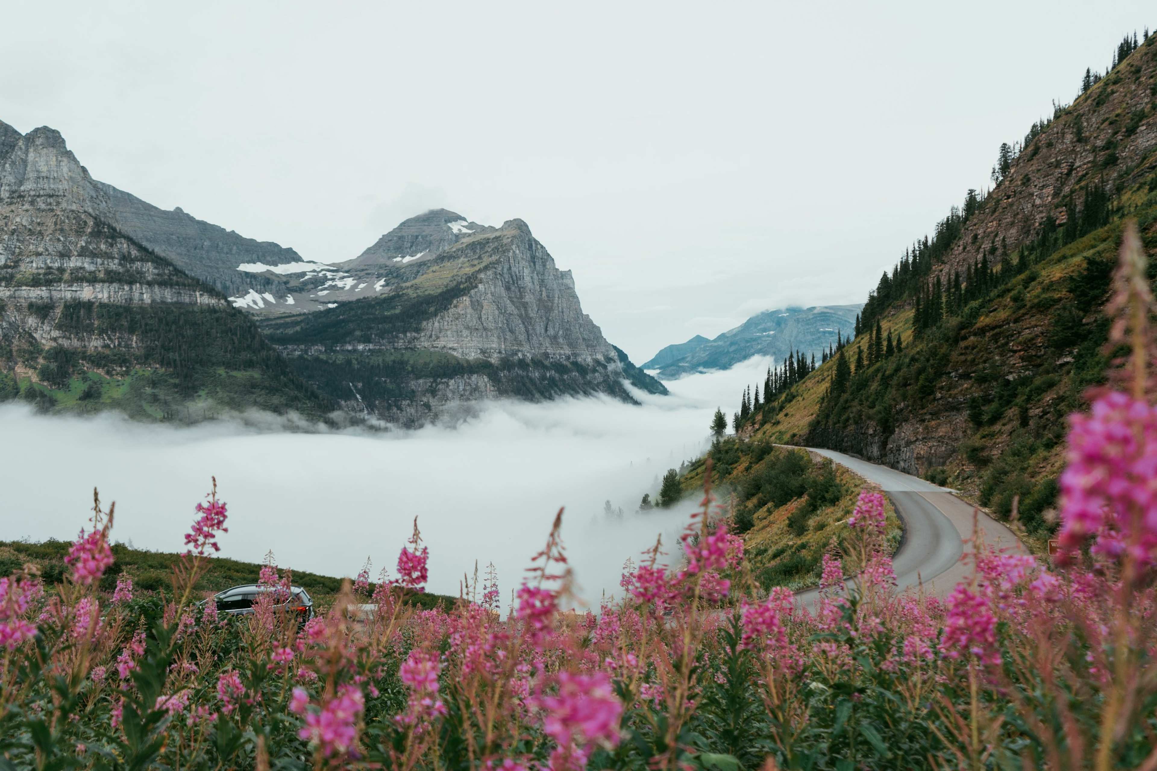 8 U.S. National Parks Facing Overcrowding Issues
