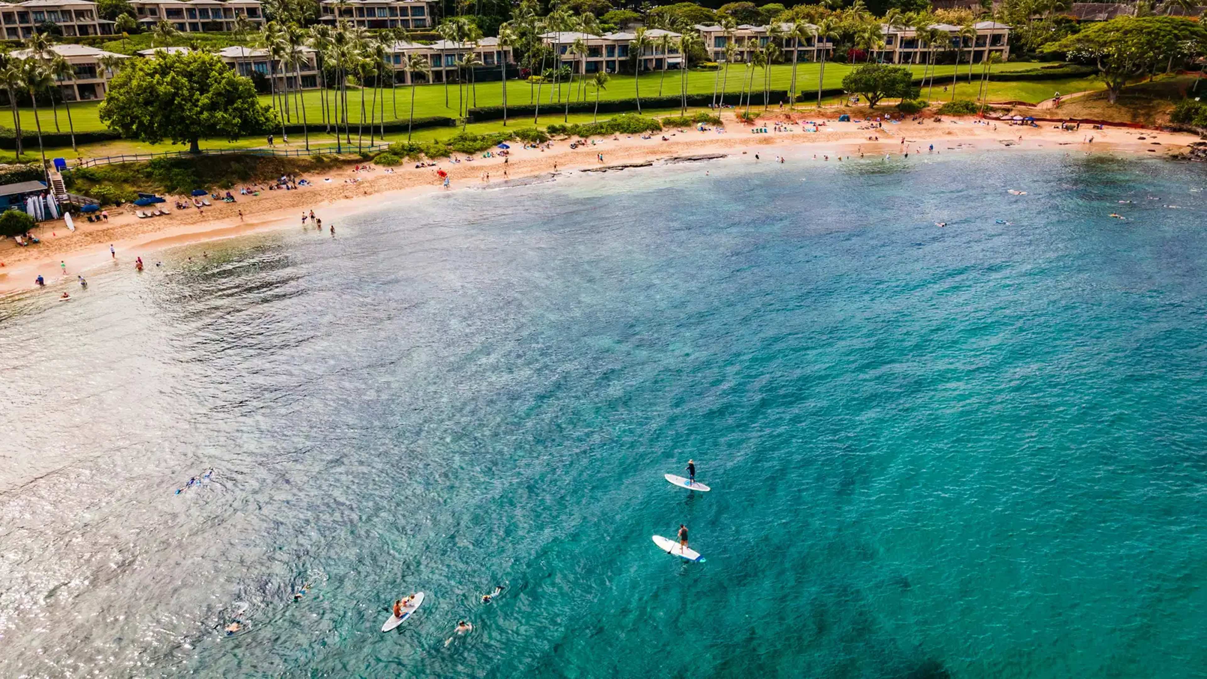 Maui Long-Term Rentals: Weighing Convenience Against the True Costs