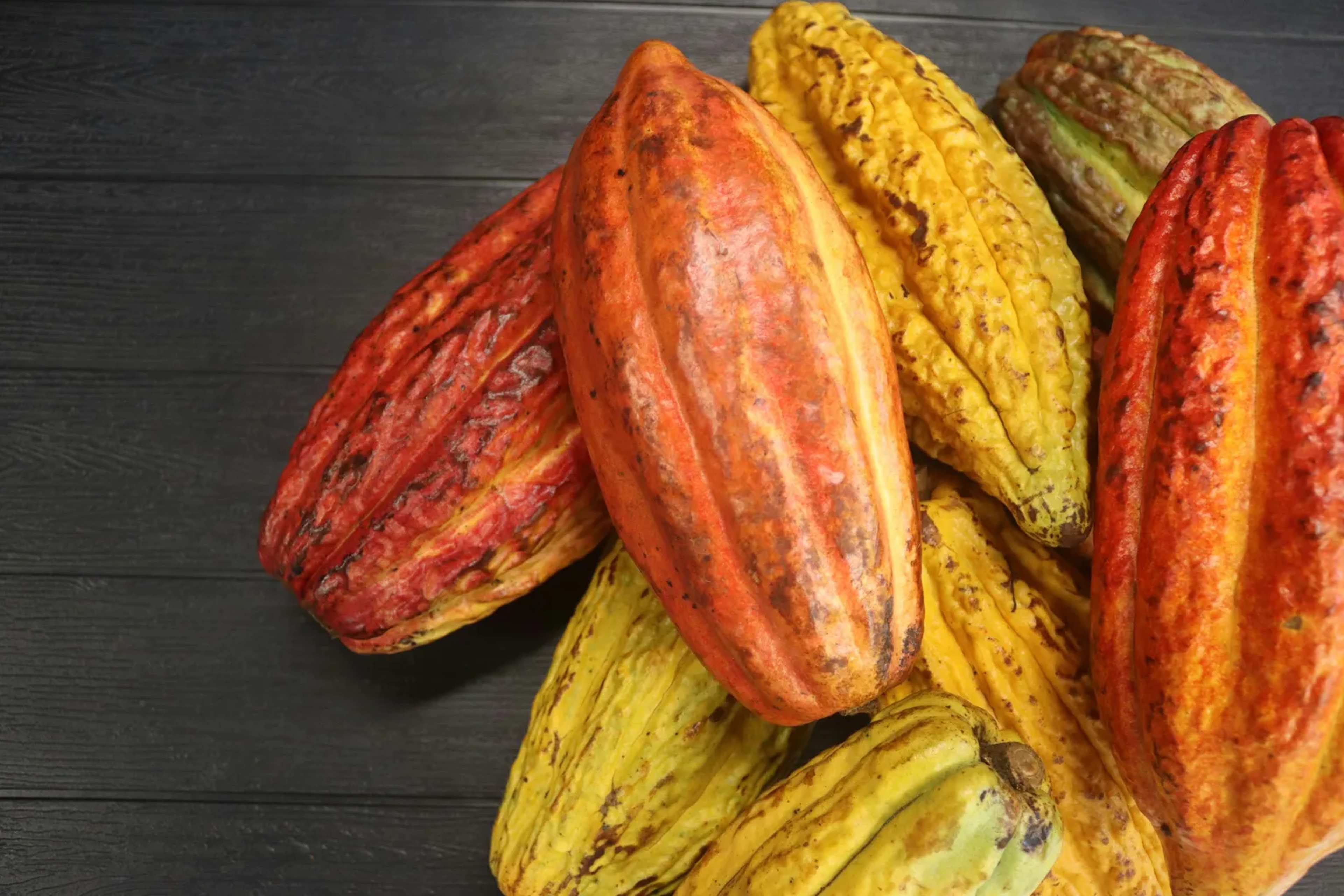 Cocoa Pods Hide a Lychee-Sweet Surprise