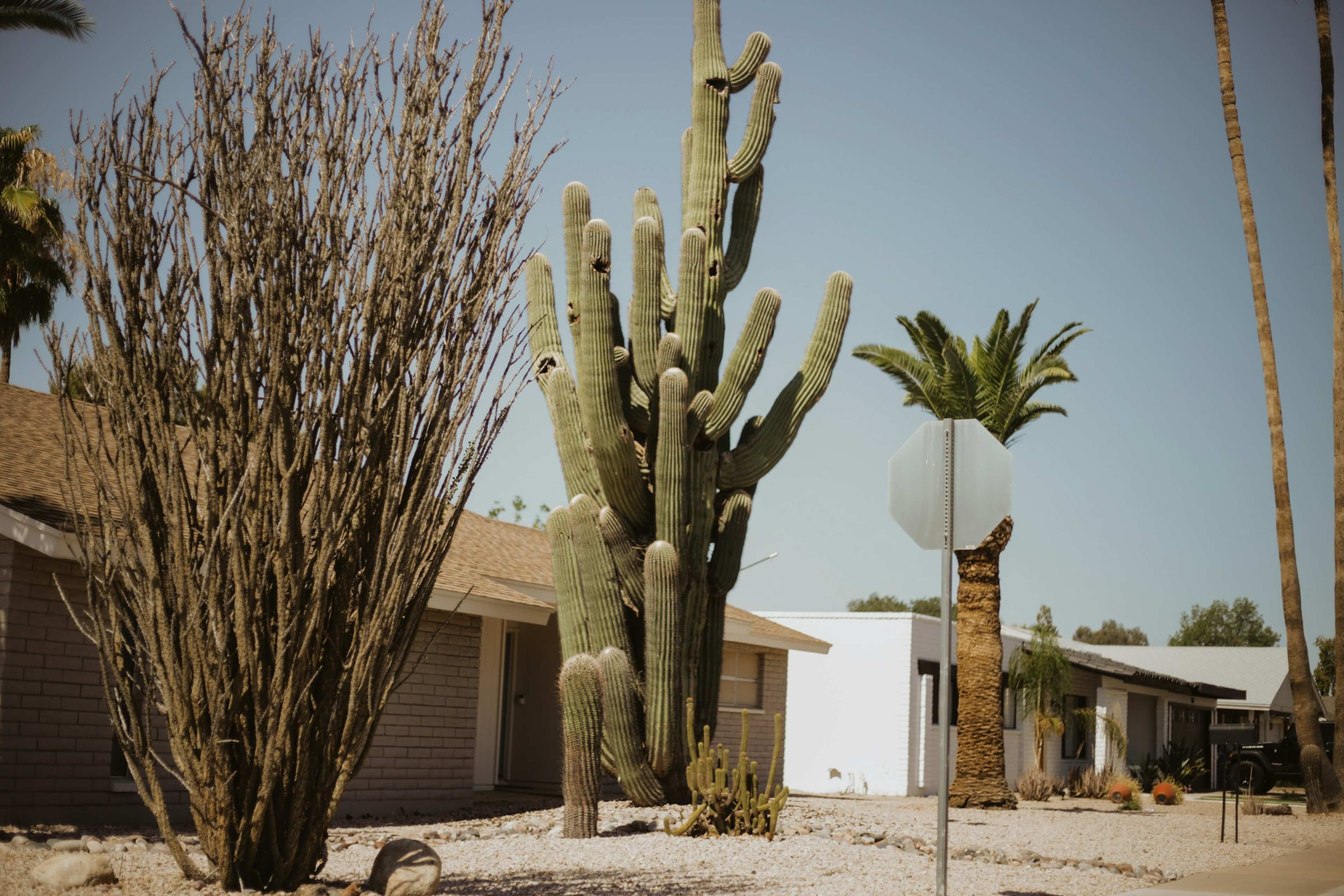 I Moved to Arizona for the Sunshine but Left After 6 Months: 9 Things I Wish I'd Known