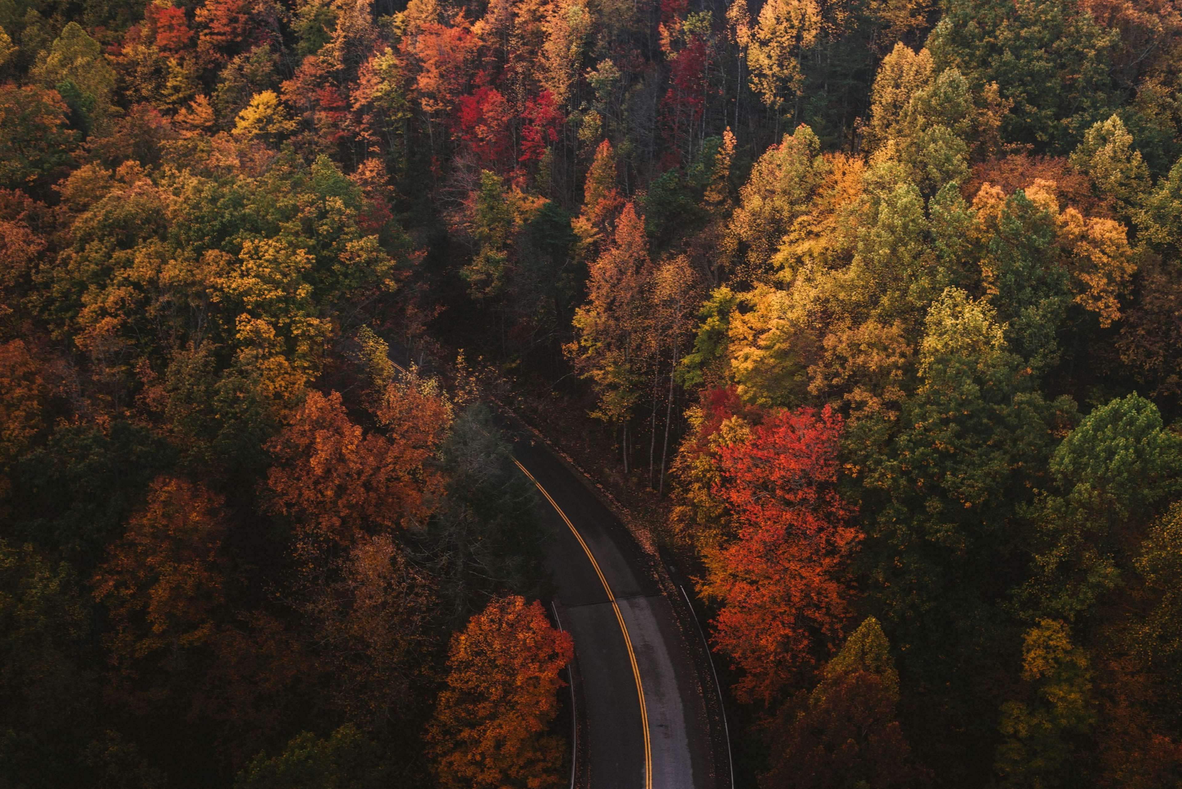 Forget summer – these East Coast beach towns are better in autumn