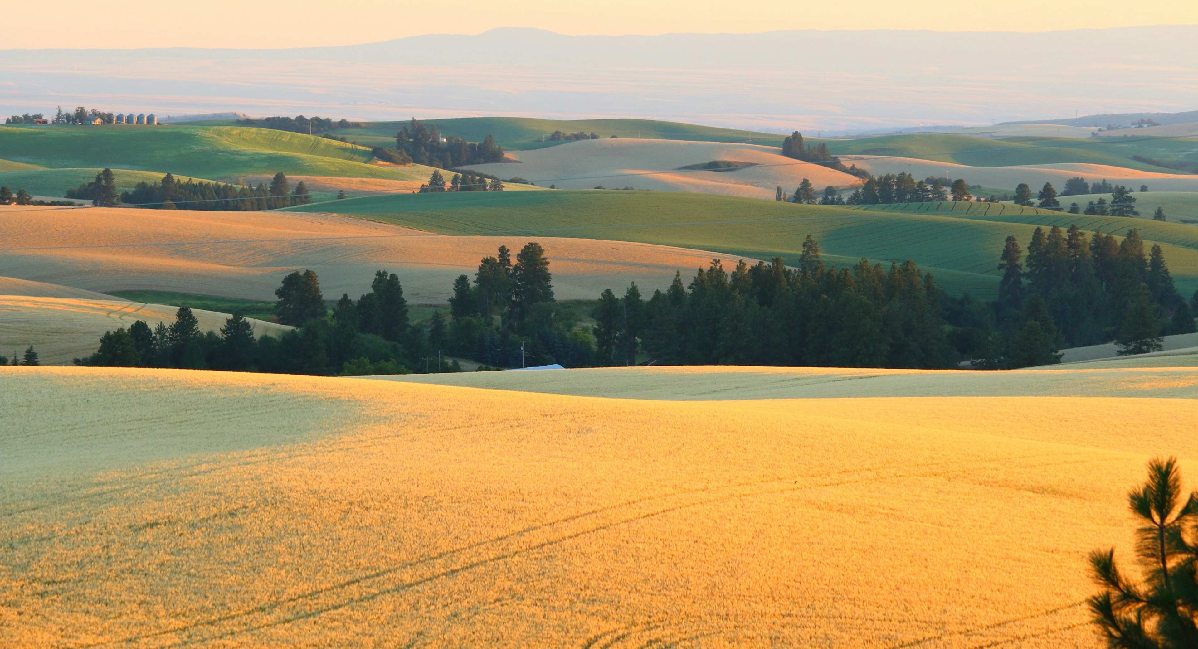 5 The Happiest States in America, Ranked – See Where Yours Lands