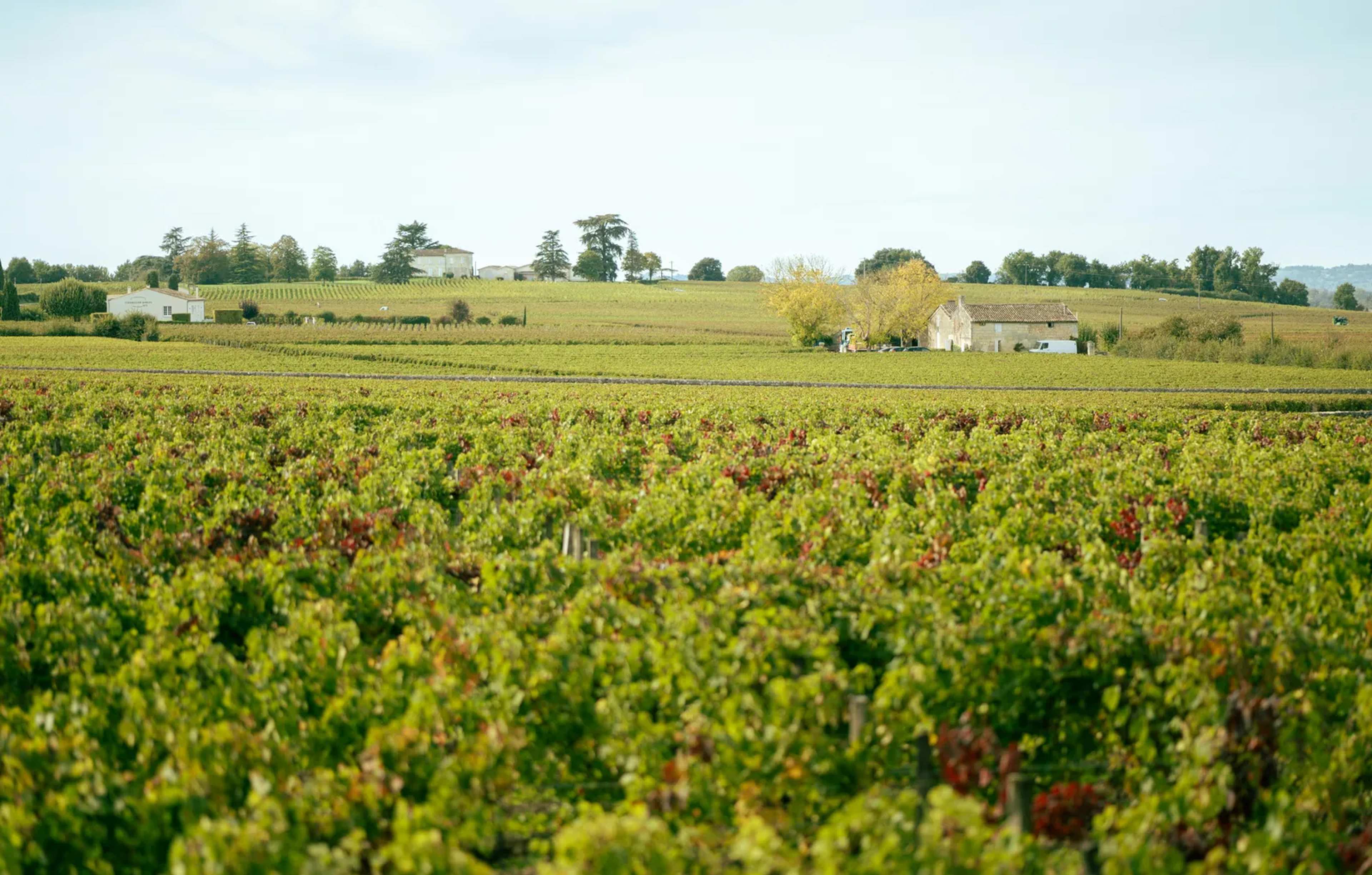 Escaping Bordeaux for a Day on the Médoc Château Trail