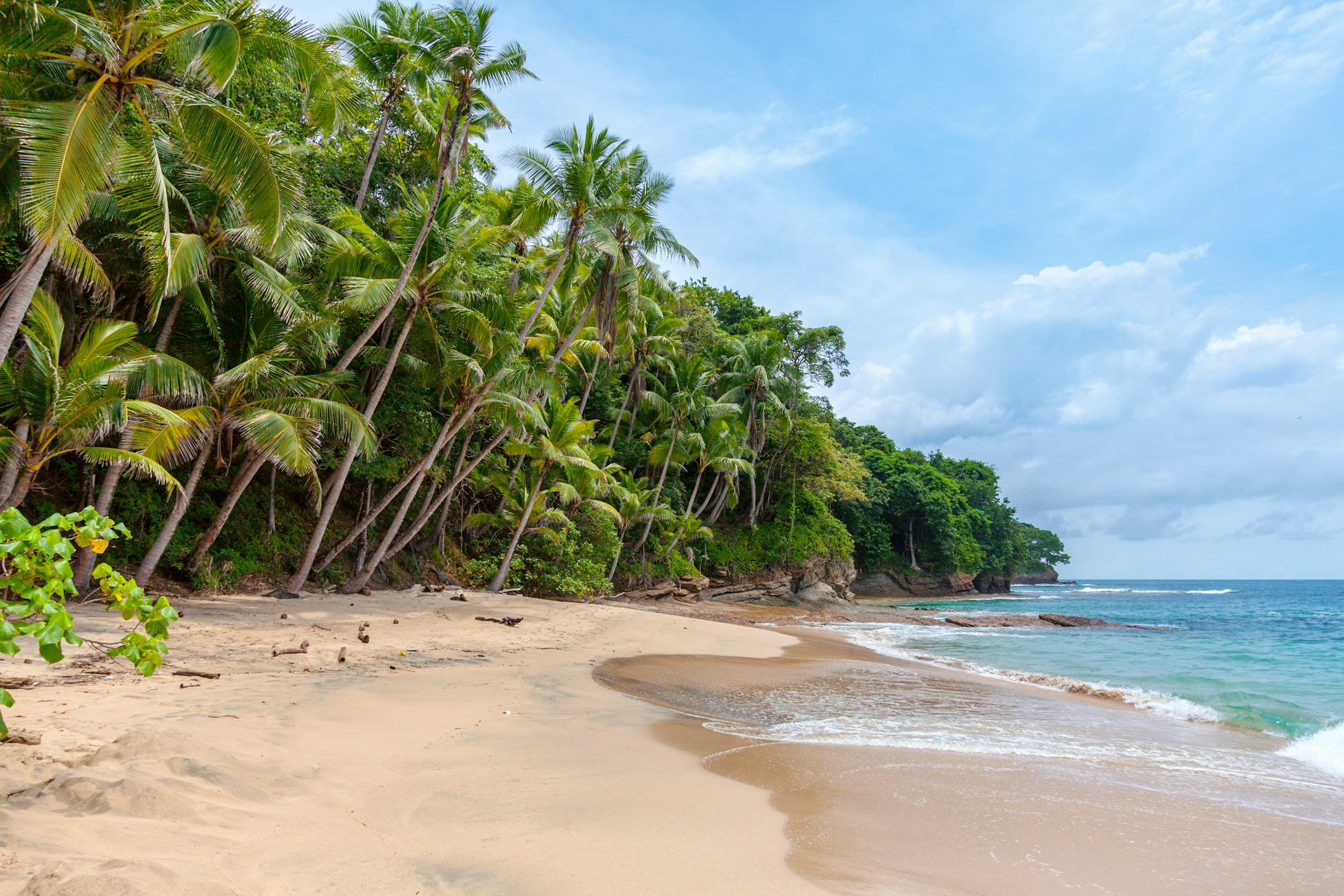 This Secluded Caribbean Beach Was Just Named One of the World's Best