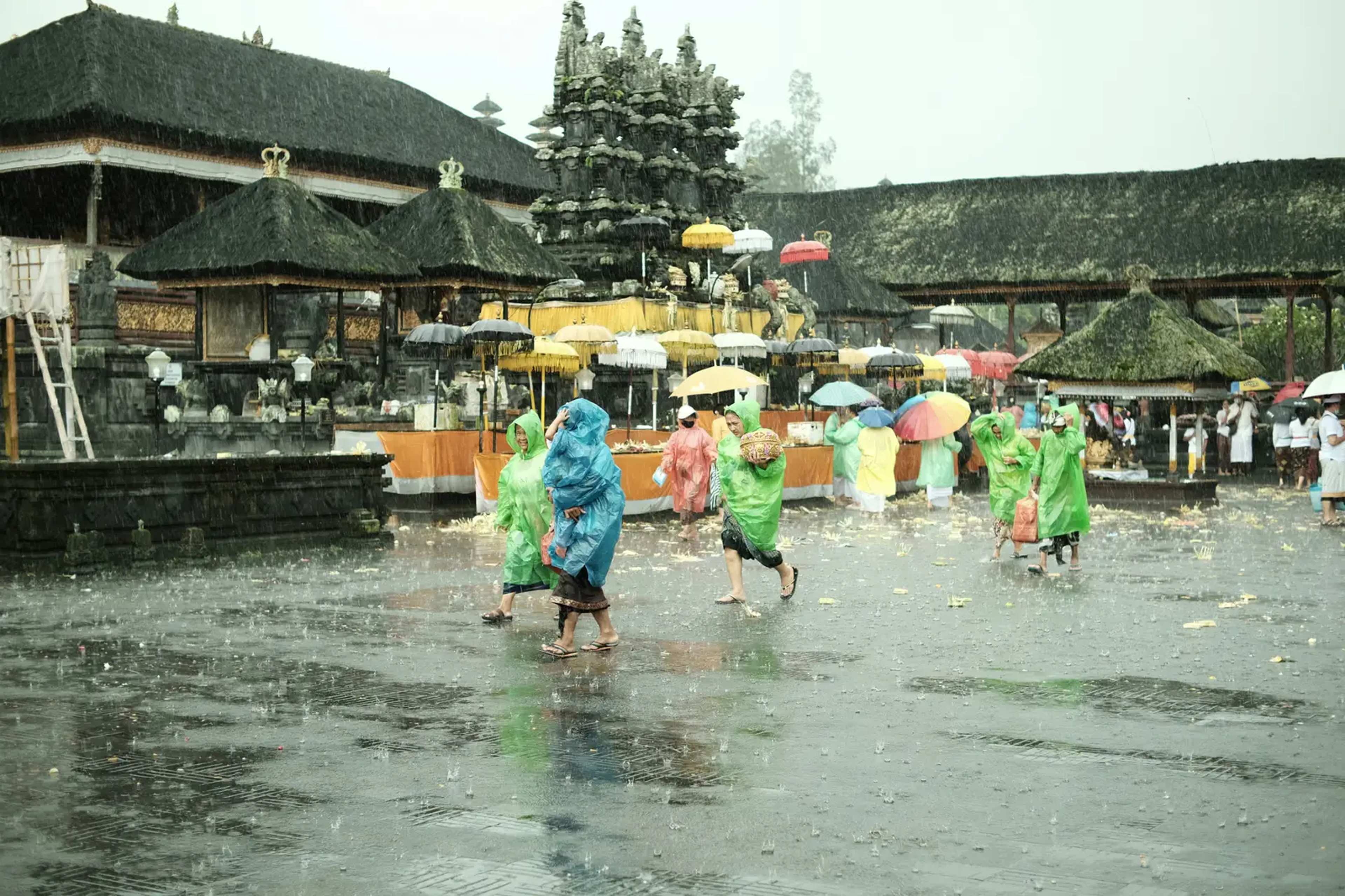 Bali Fireflies Fade as Development Spreads, One Local Launches a Rescue Effort