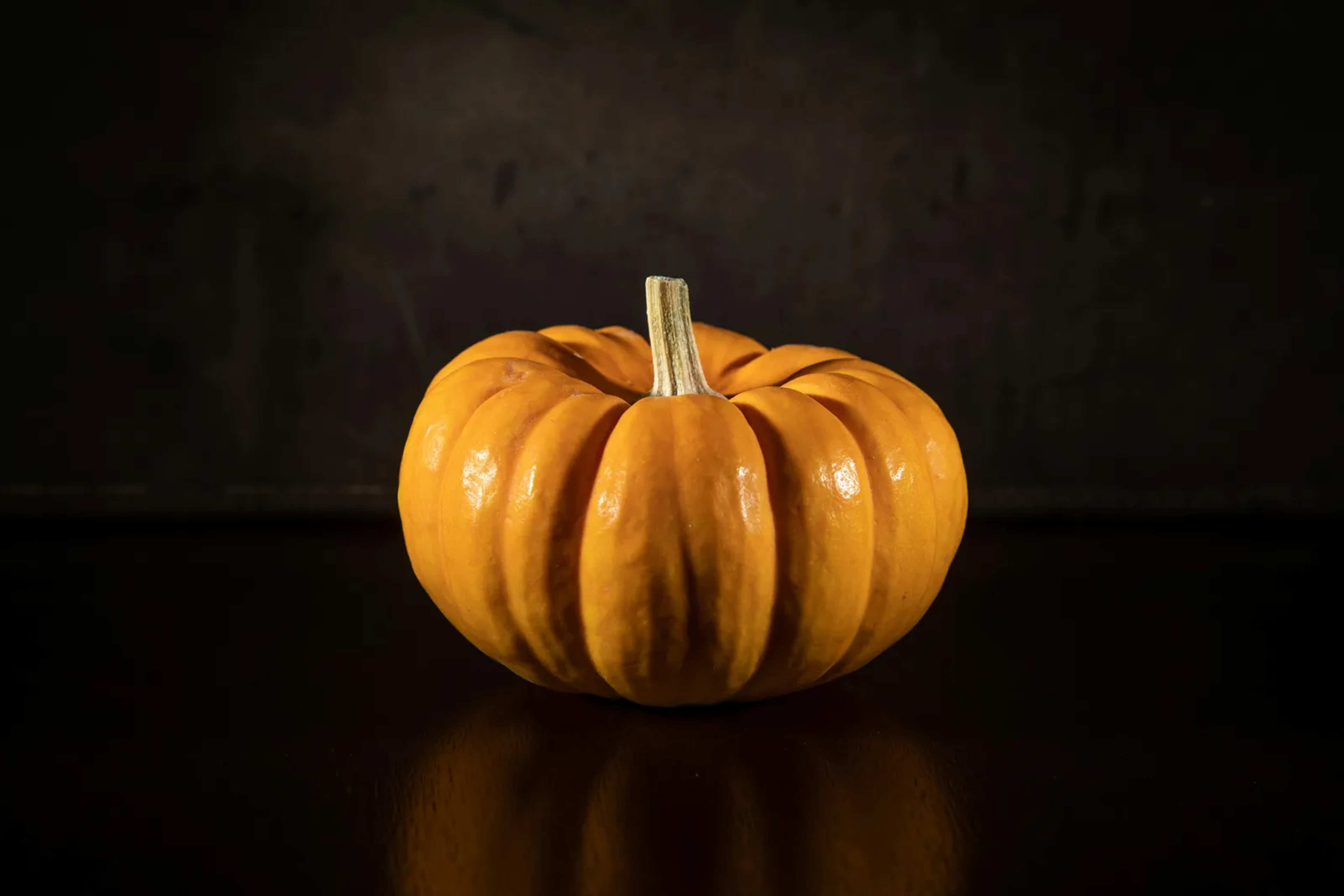 Canned Pumpkin's True Lifespan According to the USDA
