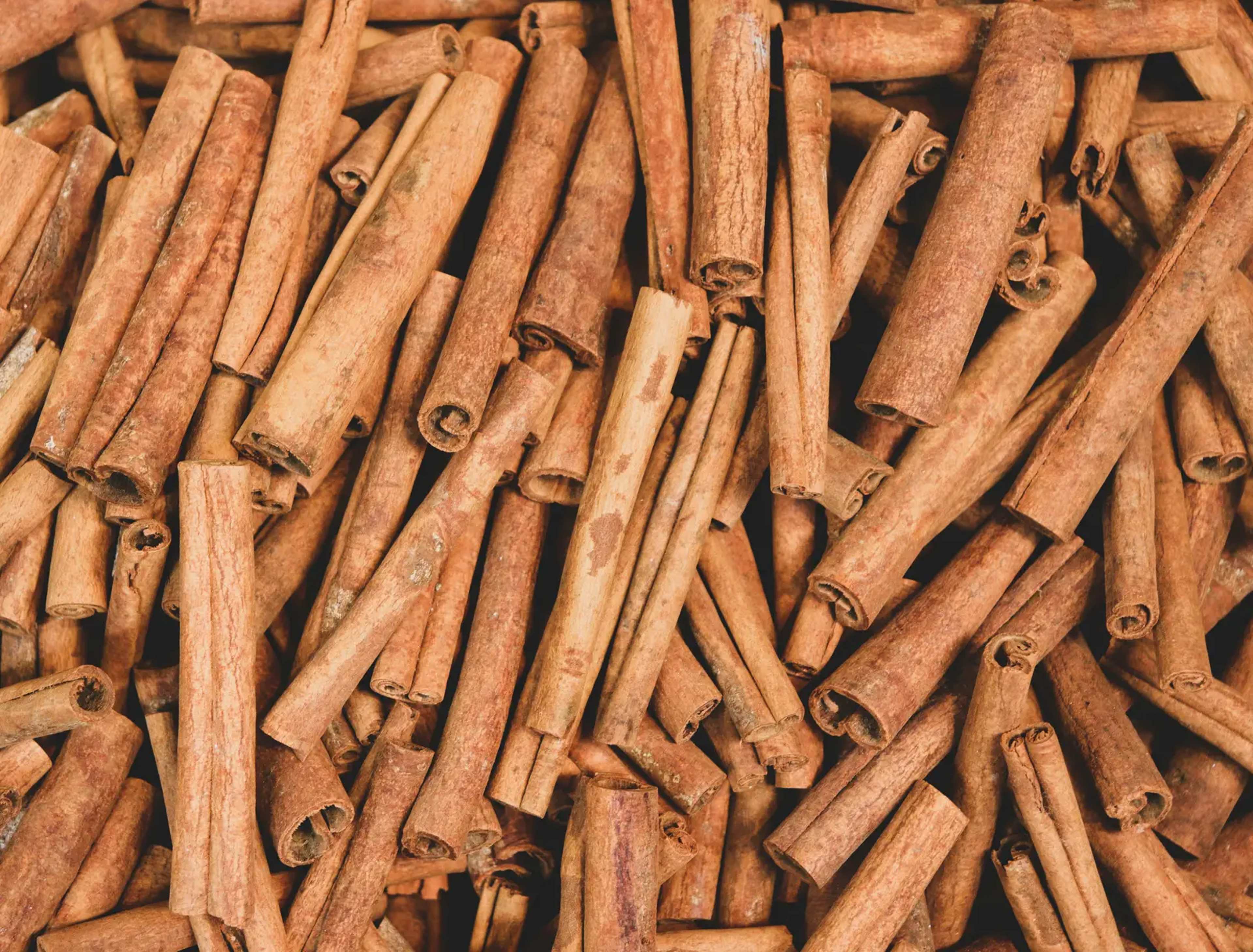 Why Cinnamon Sticks Won't Stop Ants—and the Cozy Uses That Actually Work