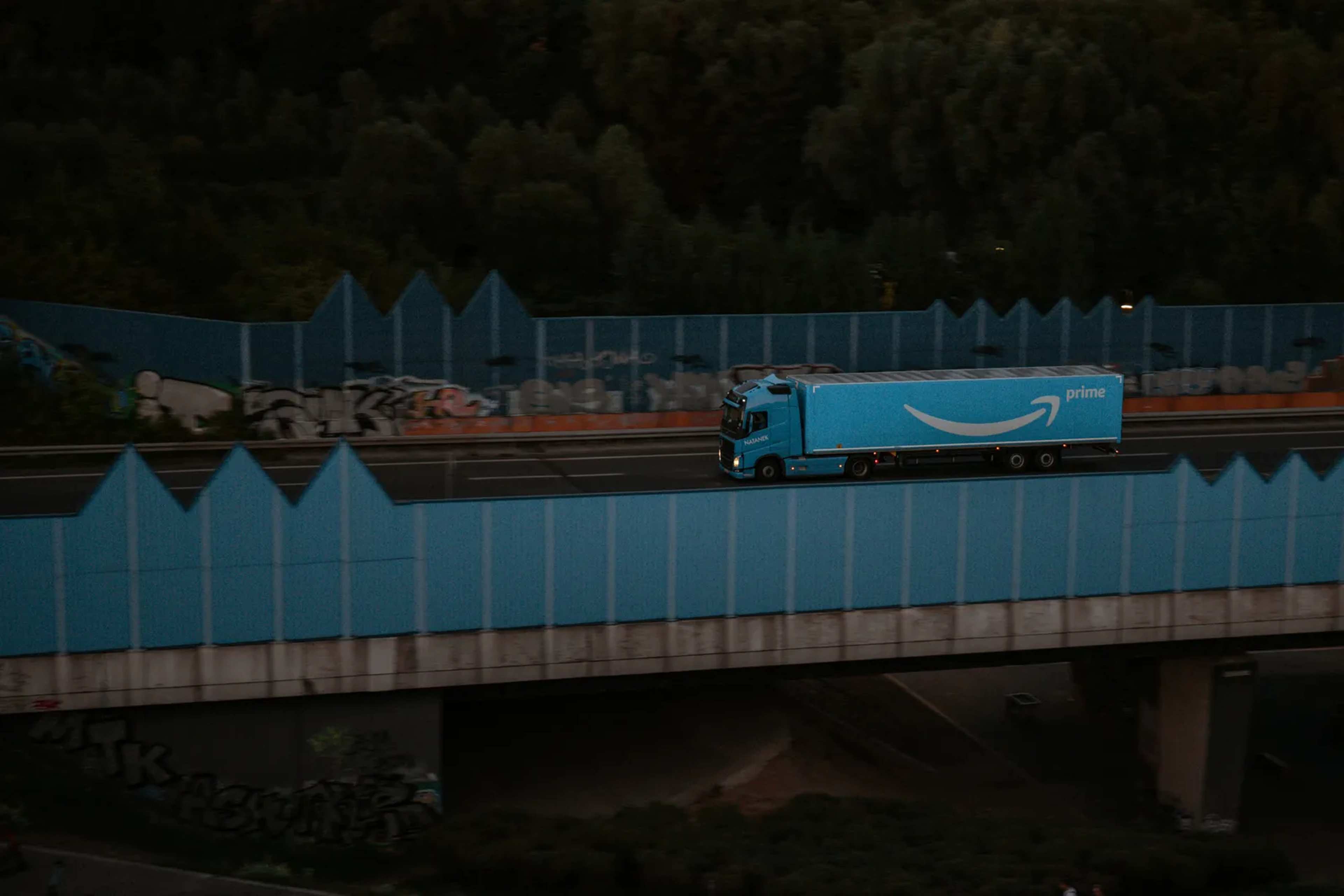 Crime Networks Dominate Amazon's BR-319 Highway
