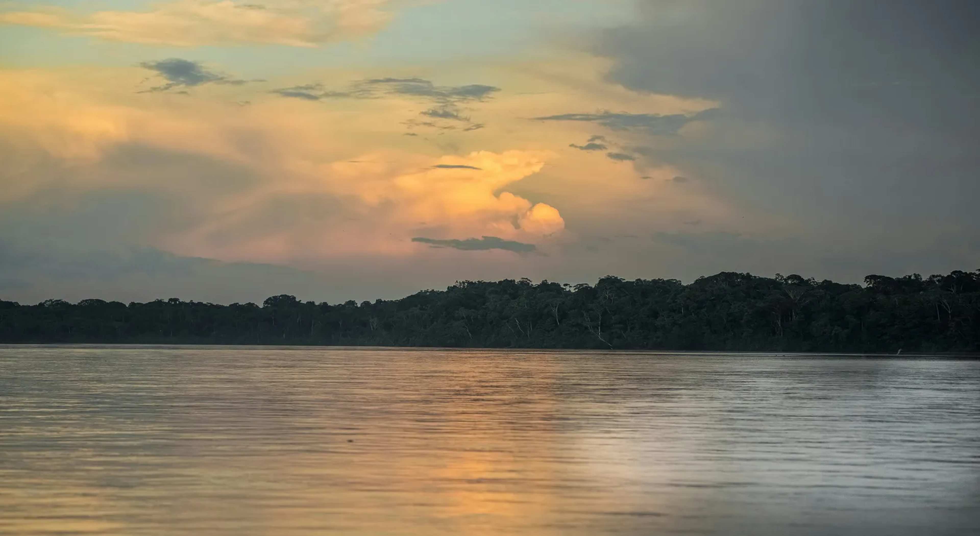Manaus Engulfed in Smoke as Arsonists Face Crackdown