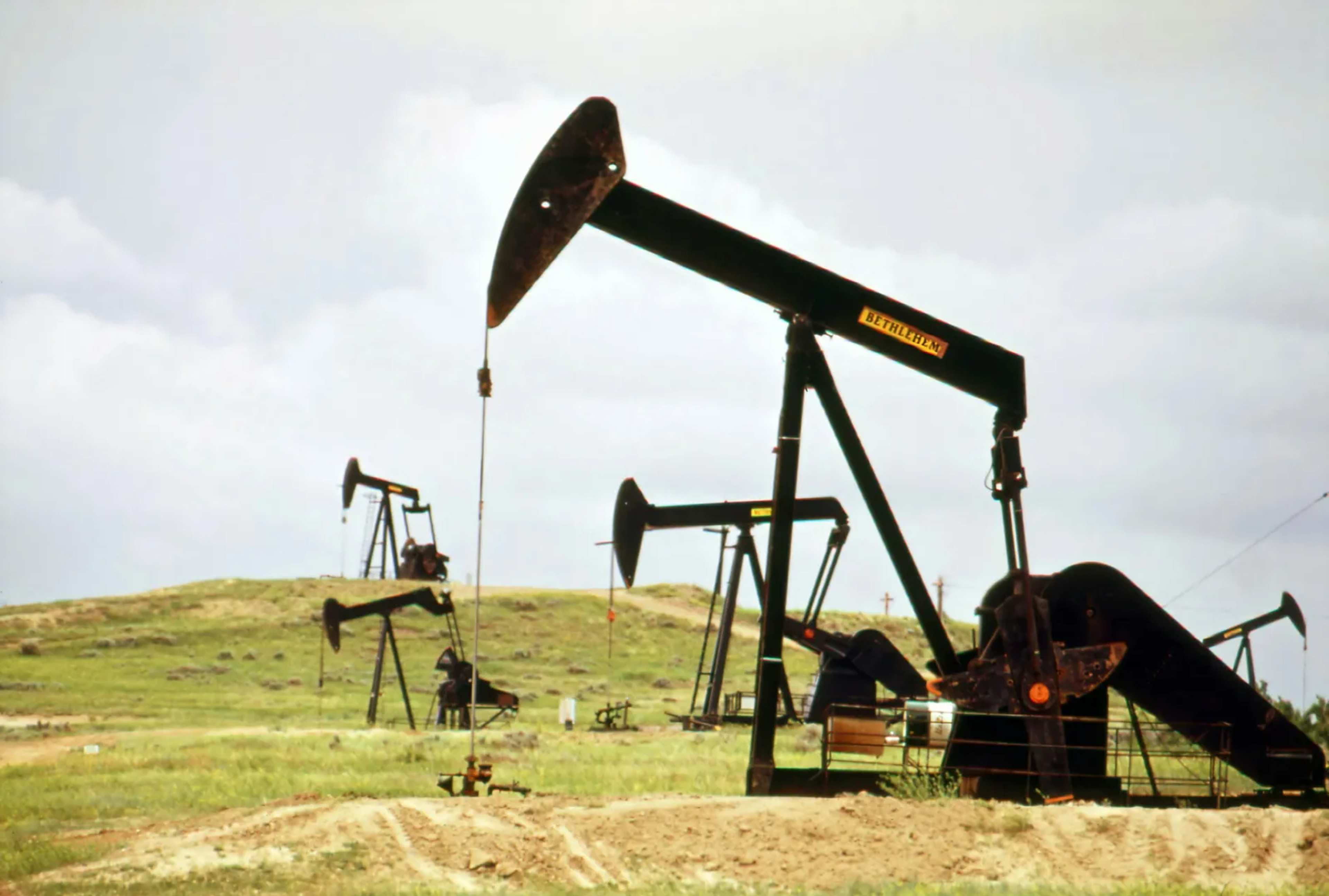 Oil and Gas Blocks Overlap Protected Land 2.5 Times the Size of the UK, Report Finds