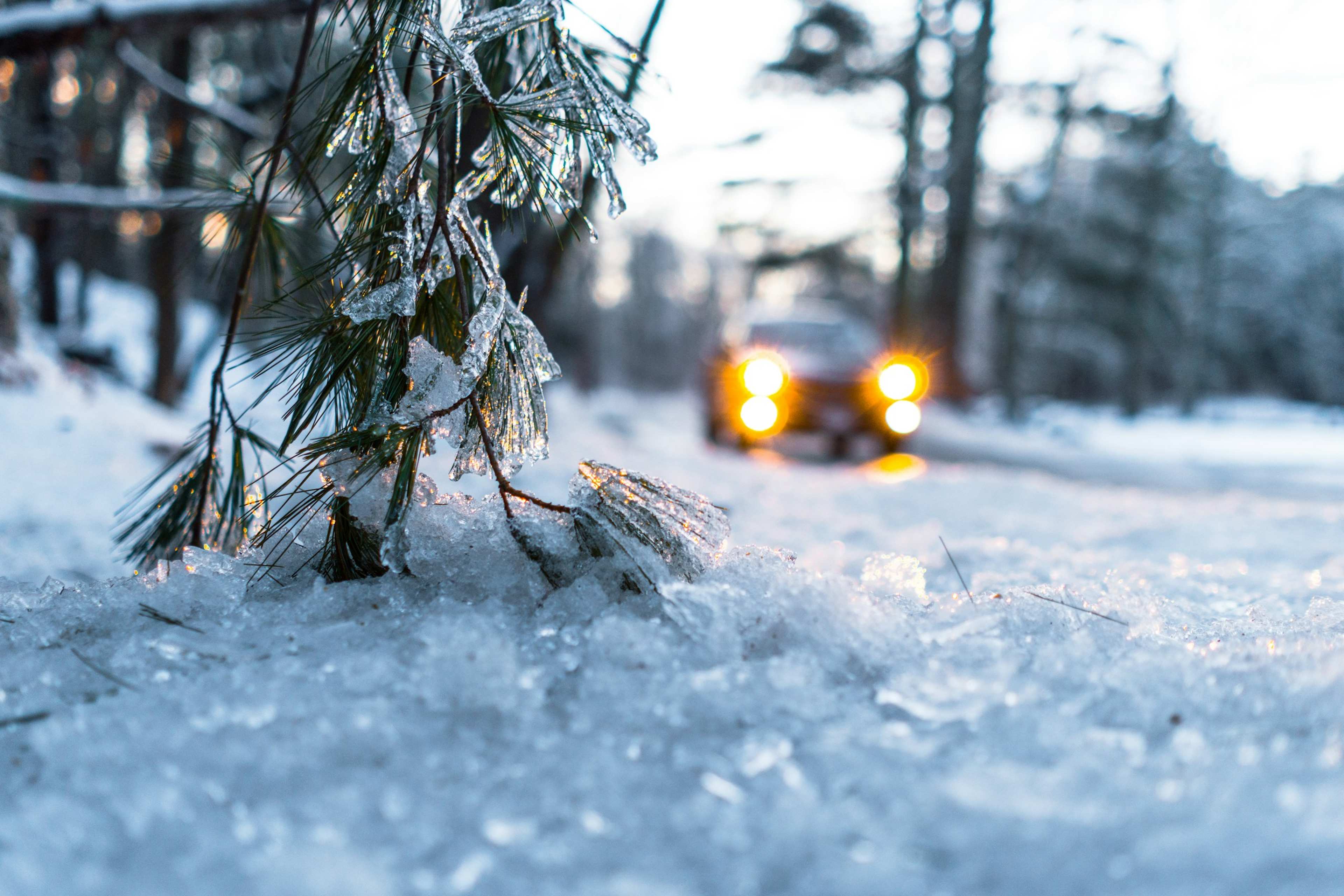 Will El Niño and the Polar Vortex Bring Snow to the US and Disrupt Your Winter Travel Plans?