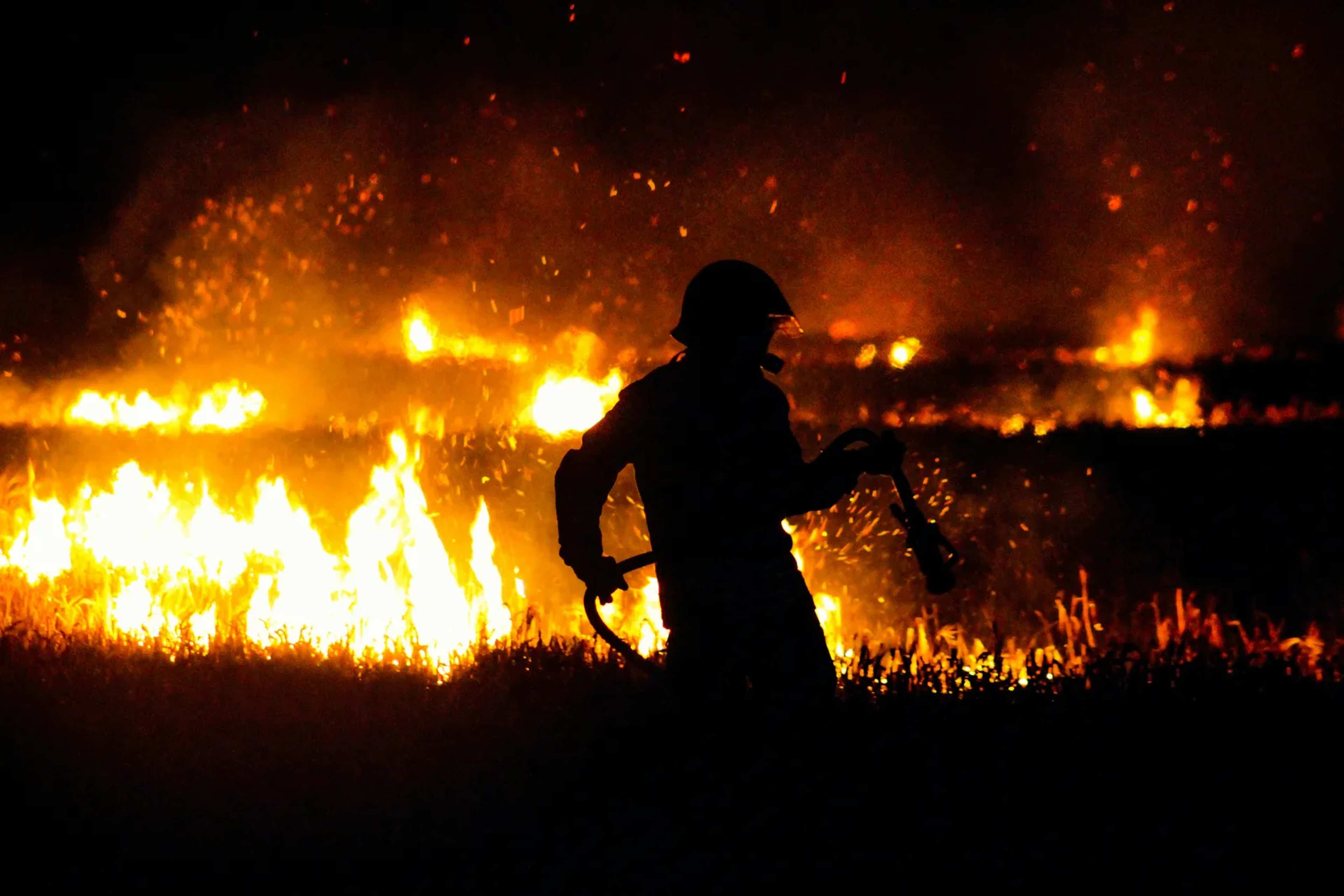 1,000-Year Record Shows What Shifted Australia’s Fire Landscape Before Modern Warming