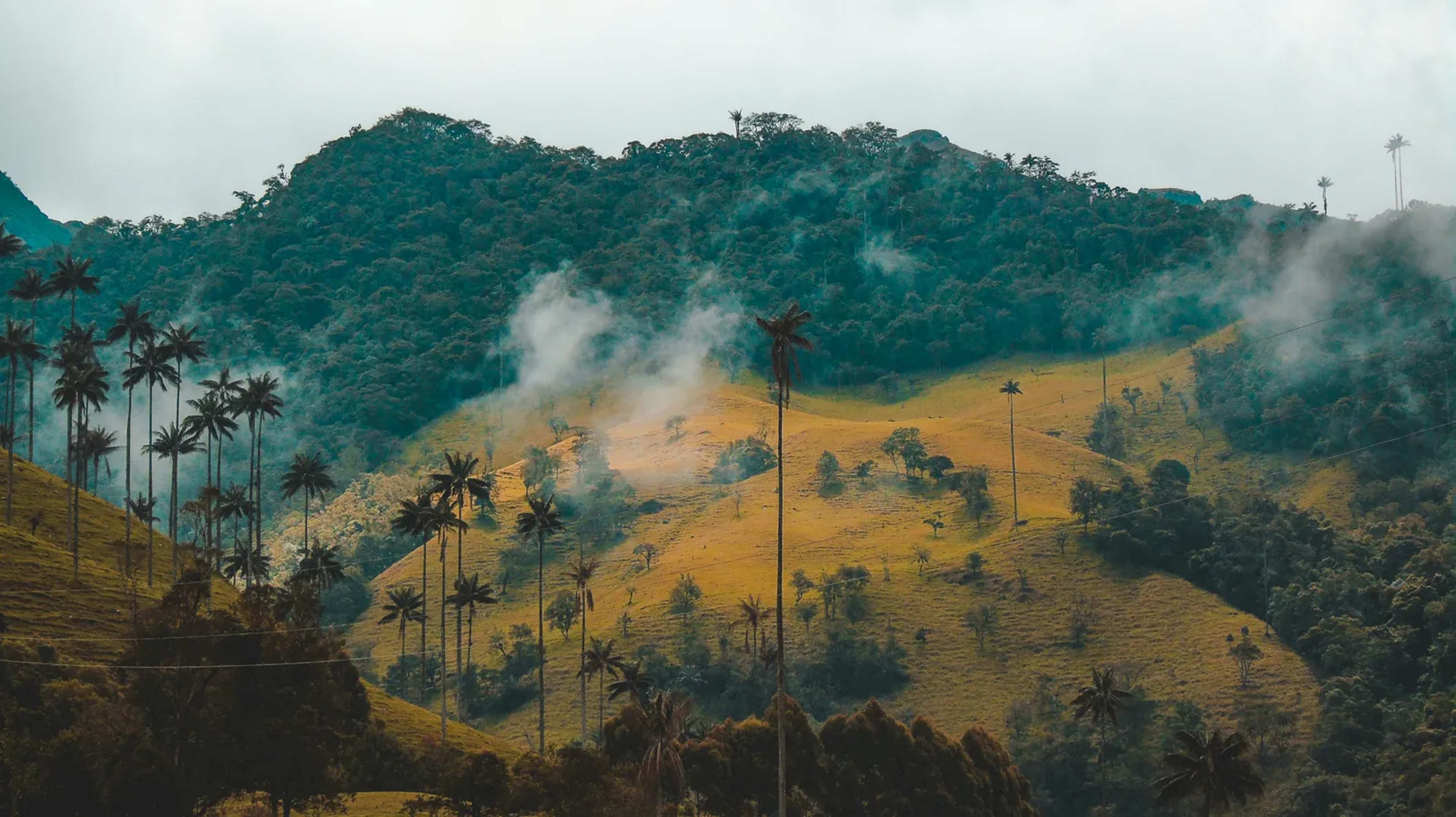 Puerto Wilches: Colombia Revives Fracking Plans in Magdalena River Wetlands