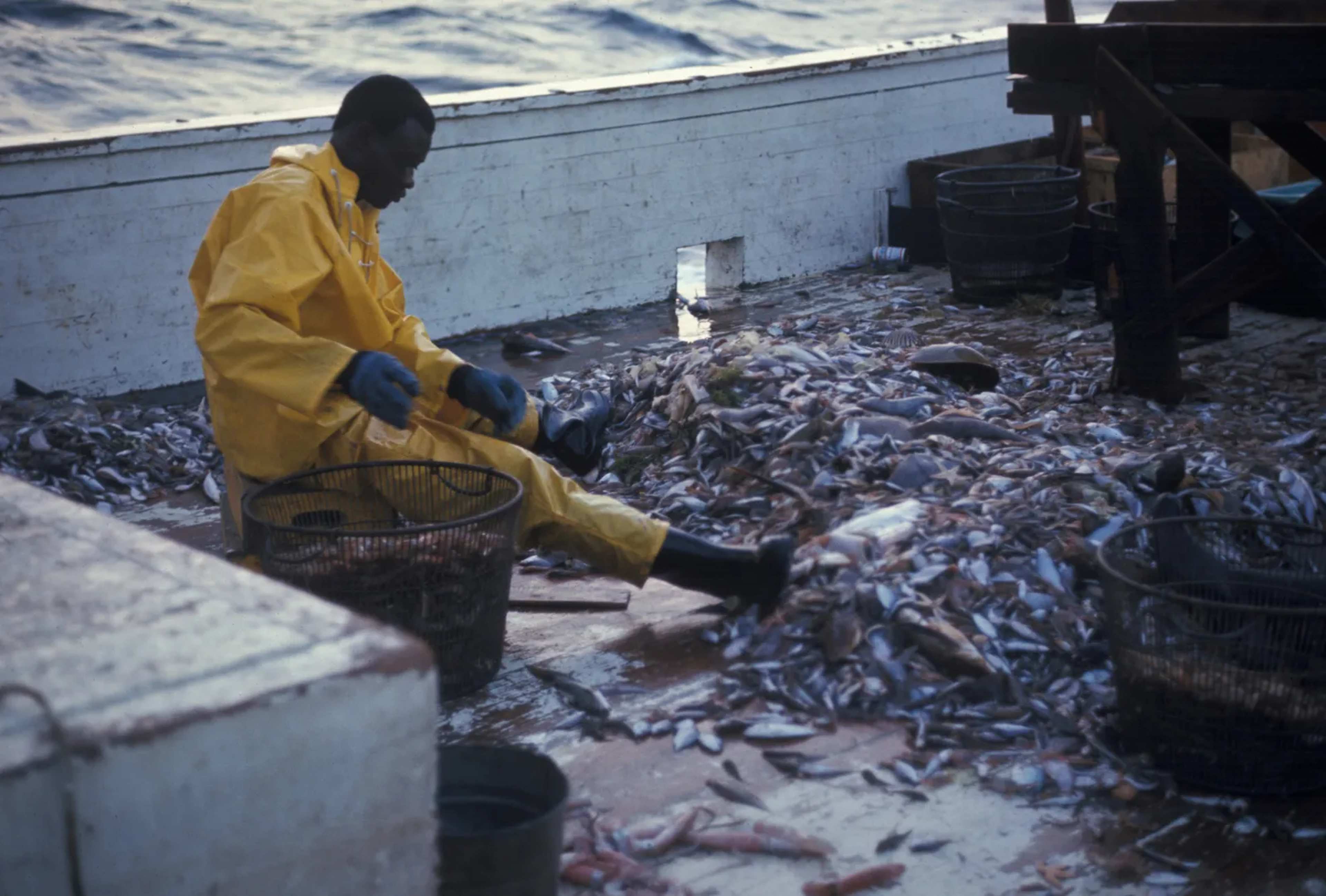 El Niรฑo Builds, Stranding Fishers in Indonesia's Maluku Islands