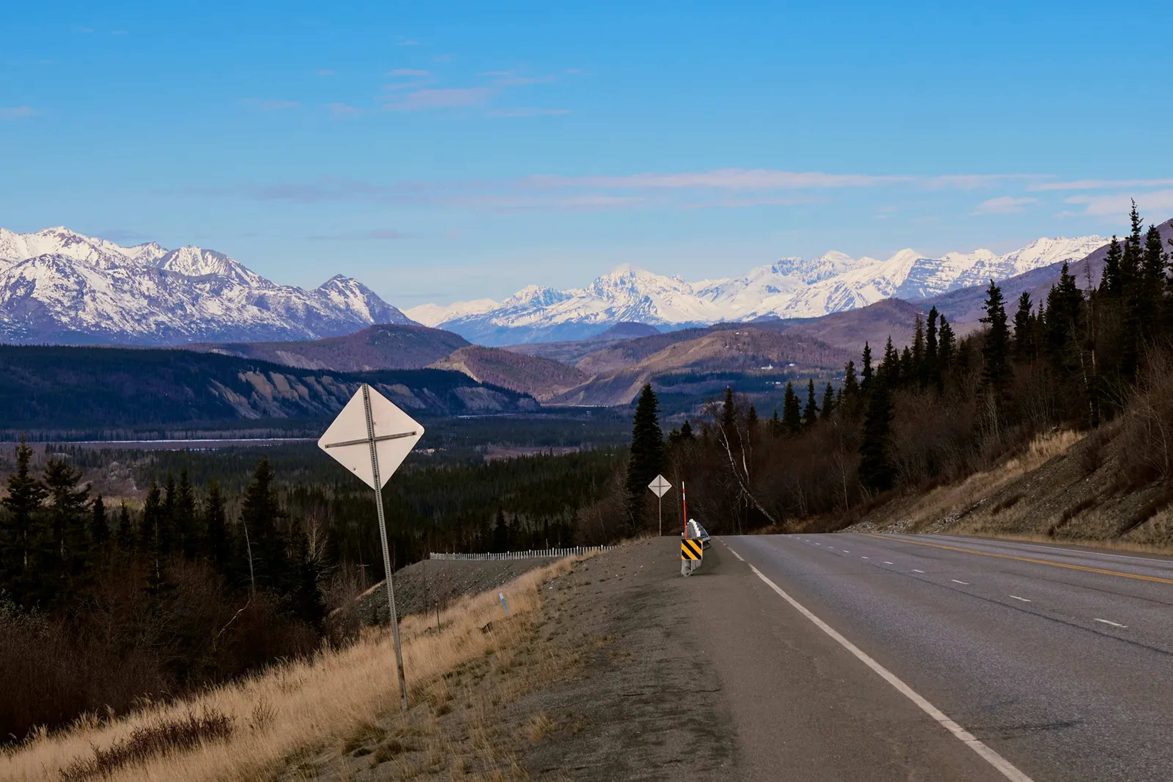 They Biked 3,700 Miles From Alaska to San Francisco to Follow a Bird’s Migration