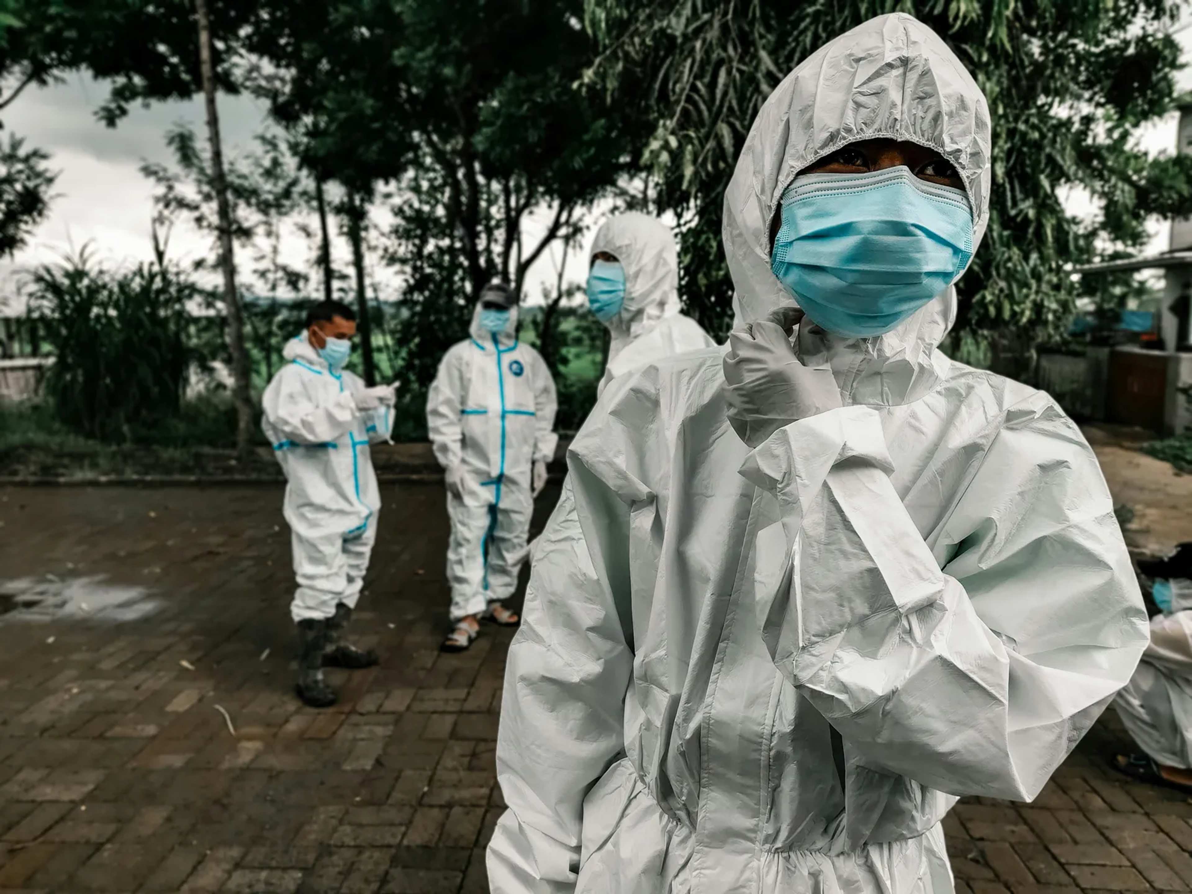 Dengue Fever in Florida: How Travelers Can Stay Protected