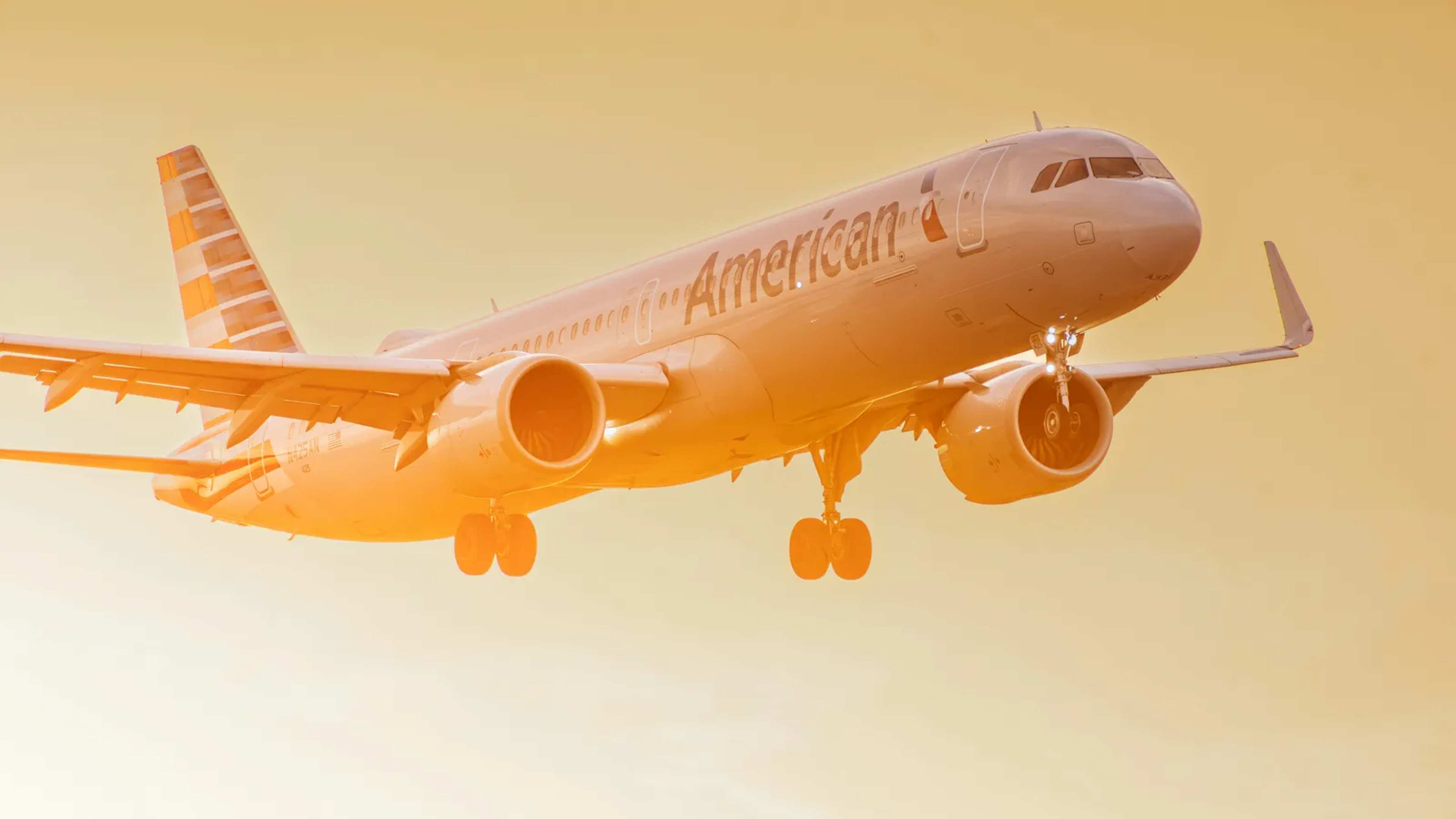 Earn AAdvantage Miles on Everyday Purchases
