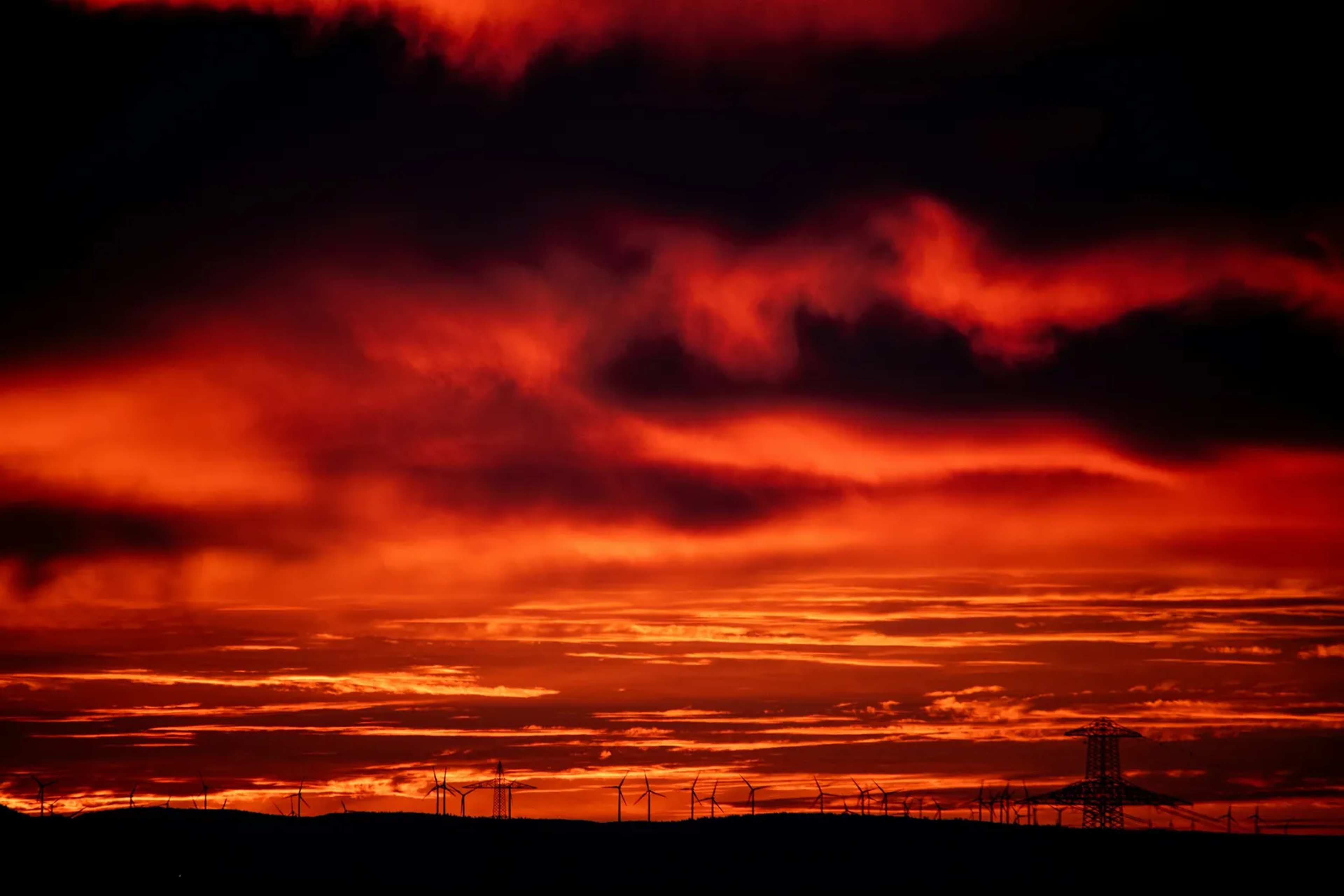 Painting One Blade Slashes Bird Deaths at Wind Turbines