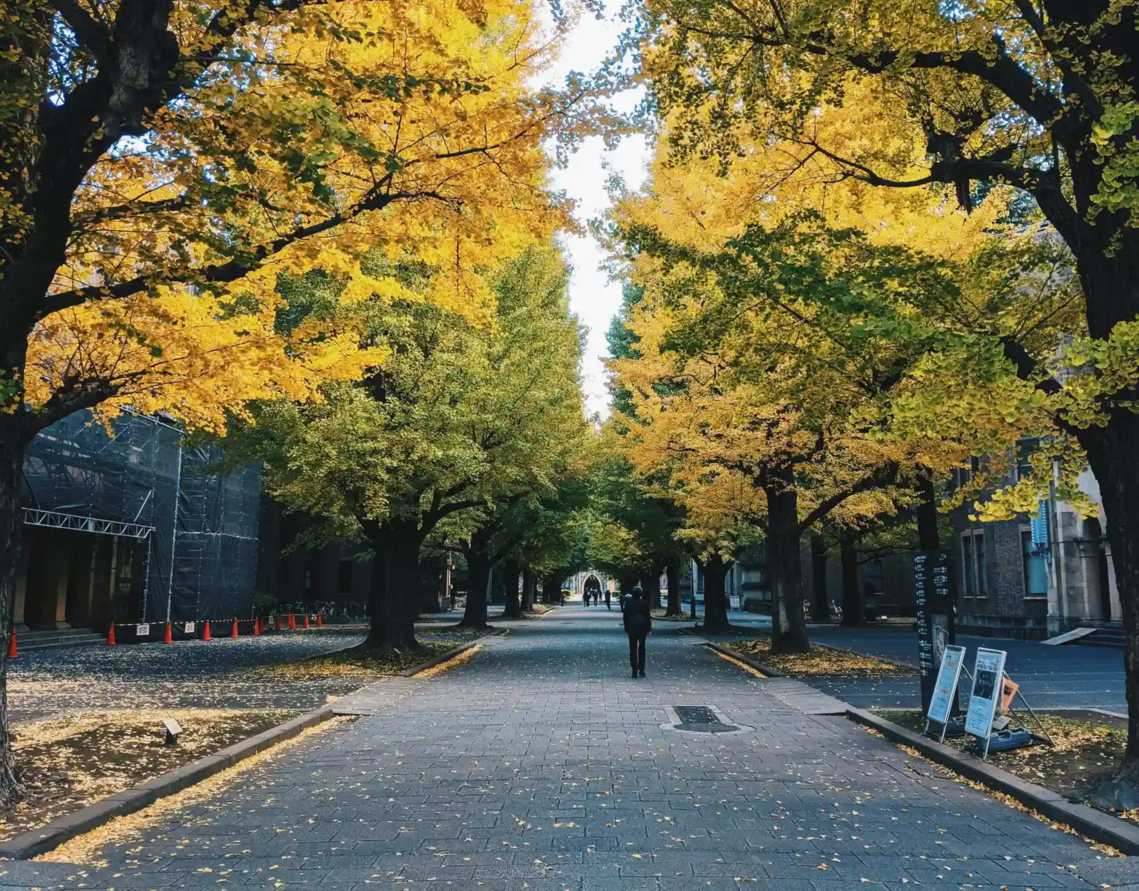 Tokyo Autumn 2026: How Japan's New Departure Tax Shapes Week-Long Trip Costs