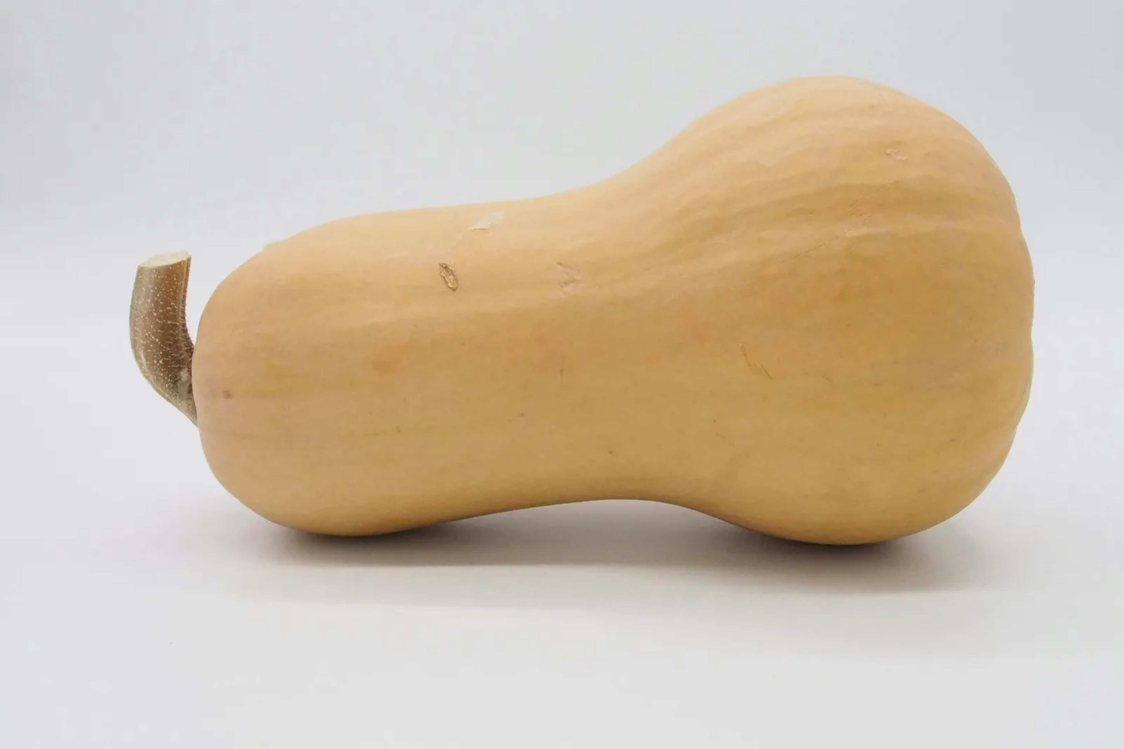 The Thumbnail Test: How to Spot a Perfect Butternut Squash Before You Buy It