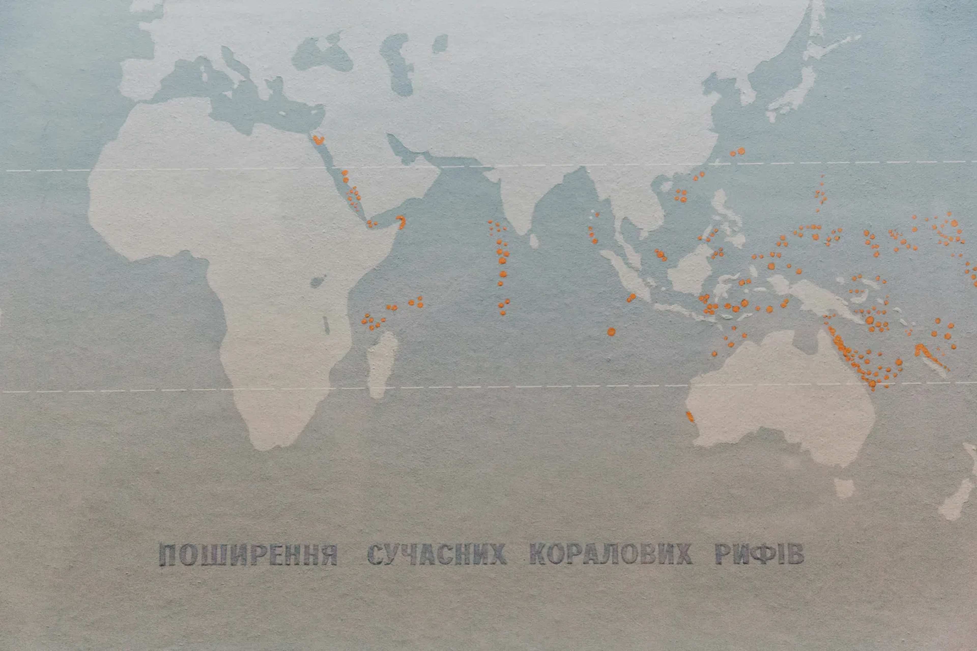 Volunteers Map Billions of Museum Specimens
