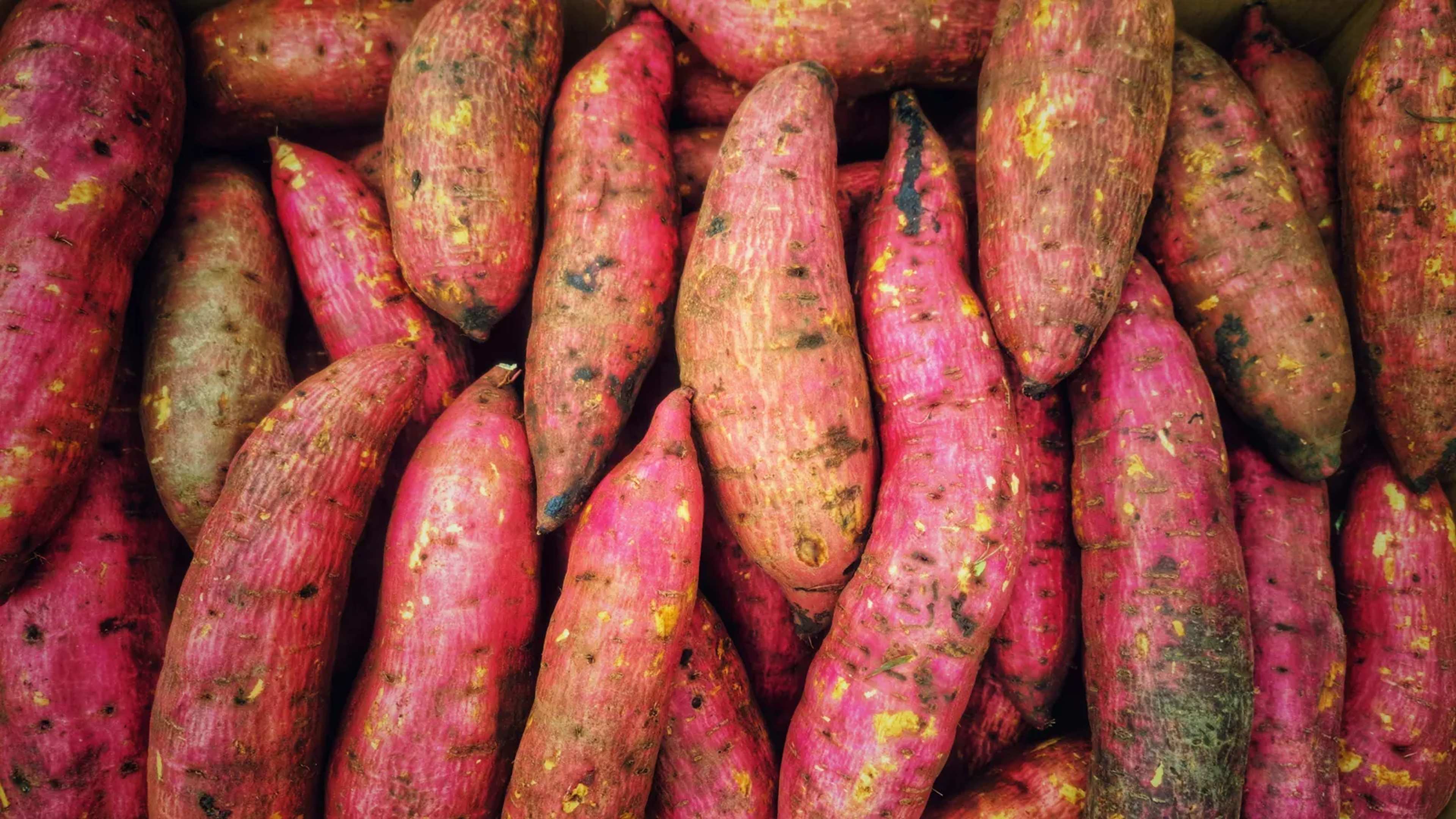 Don't Refrigerate Whole Sweet Potatoes This Thanksgiving