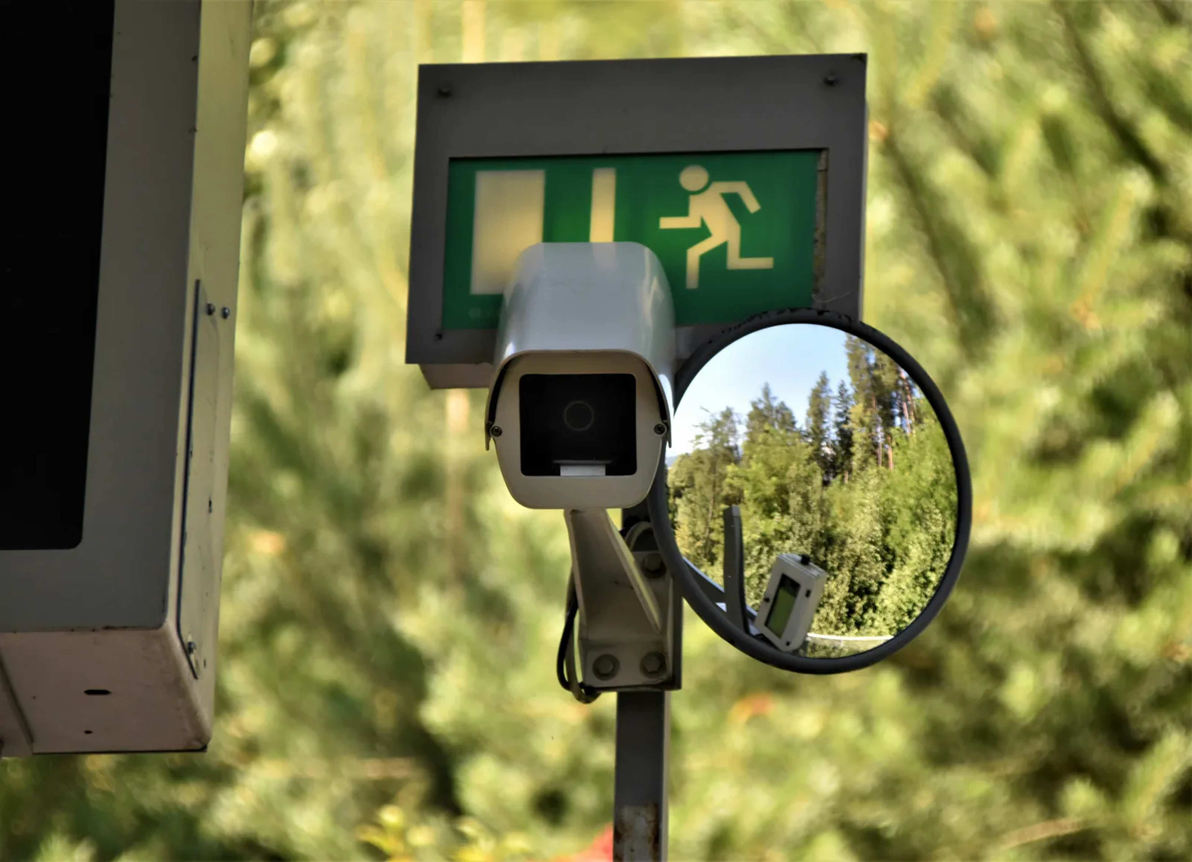 Most Countries Lack Early Warning Systems for Wildlife Diseases