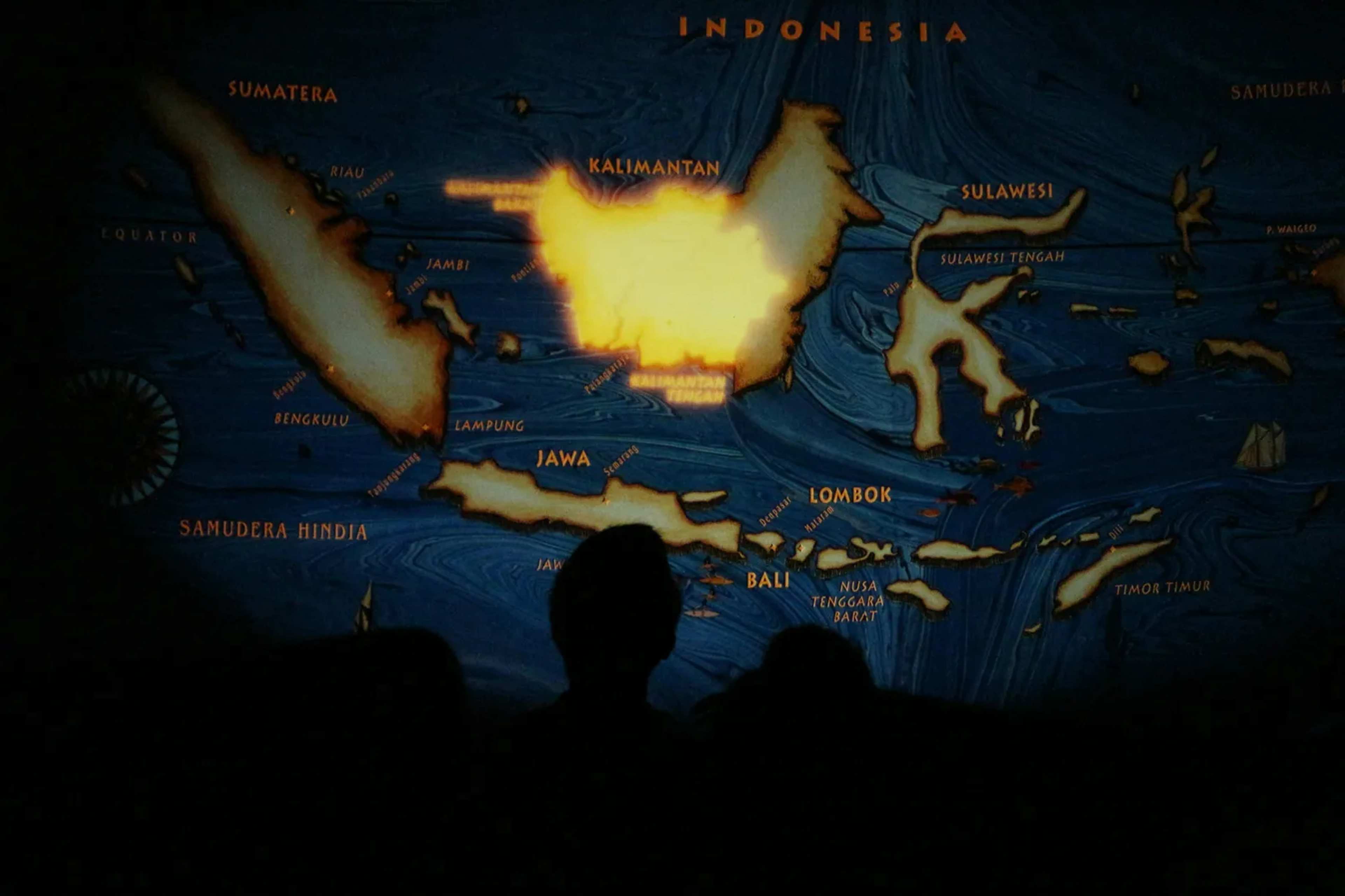 Kalimantan Fires Scorch 119,000 Acres of Borneo Rainforest, Indigenous Activist Ties Blazes to Corporate Land Deals