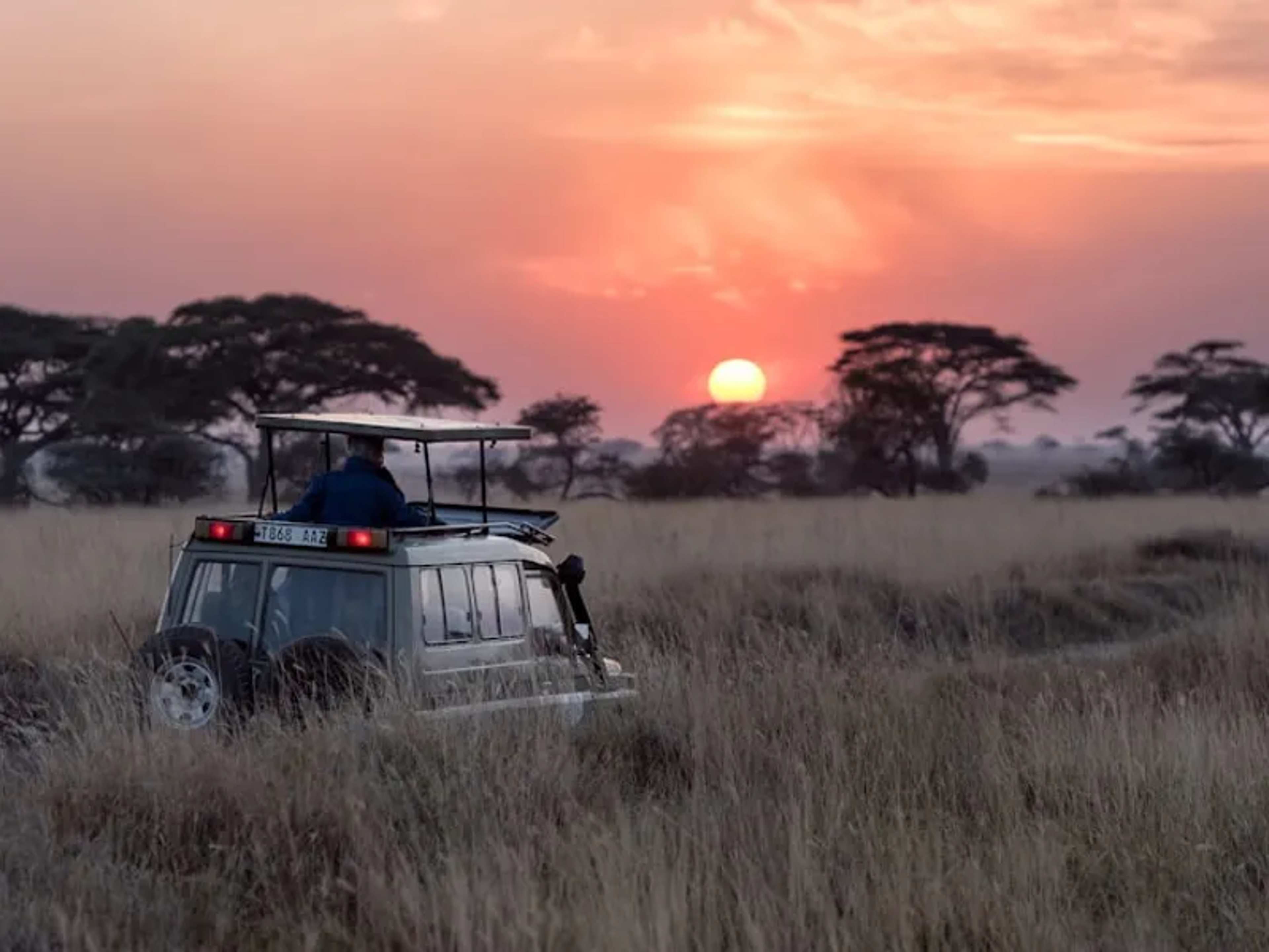 Safari Adventure Tanzania – 8 Days Serengeti