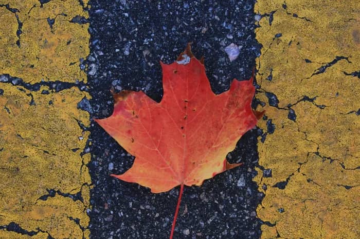 What This Means for Canada's Future (Image Credits: Unsplash)