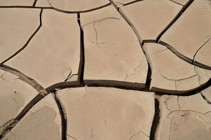 Promises Broken, Land Stolen (Image Credits: Pixabay)