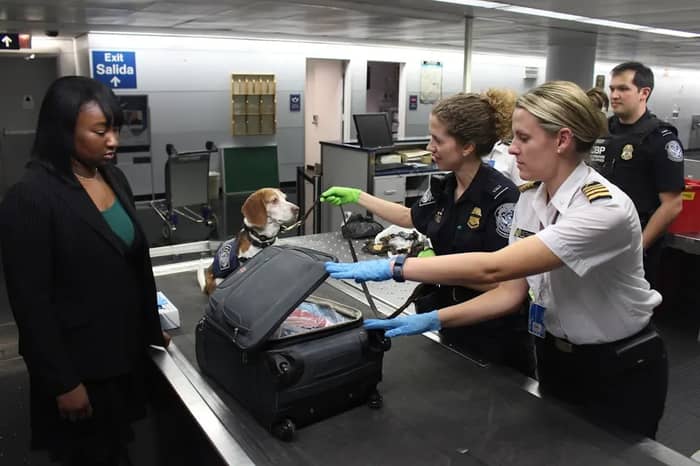 Baggage Handlers and Insider Theft You Never See Coming (Image Credits: Unsplash)