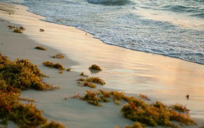 Environmental Issues Are Becoming Impossible to Ignore (Image Credits: Unsplash)
