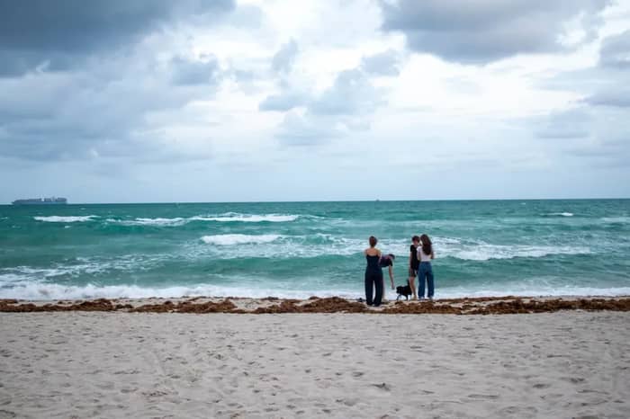 Safety Concerns Are No Longer Whispers (Image Credits: Unsplash)