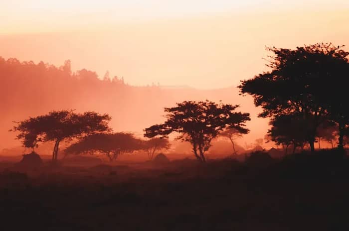 14. Rwanda: Africa's Comeback Story That'll Change Everything You Thought You Knew (Image Credits: Unsplash)