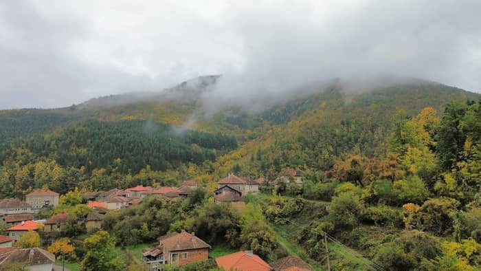 Seasonal Changes That Actually Matter (Image Credits: Unsplash)