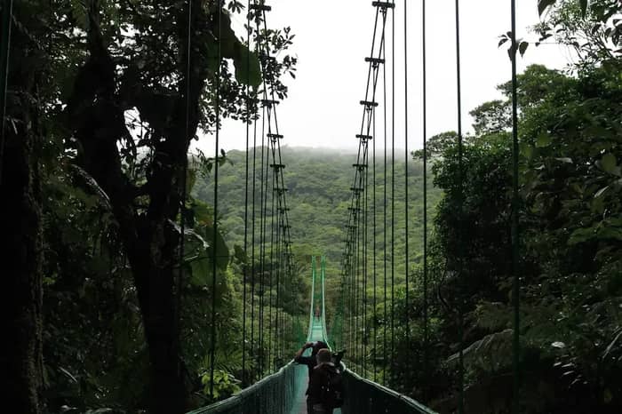 Costa Rica: Where Nature Takes Center Stage (Image Credits: Unsplash)