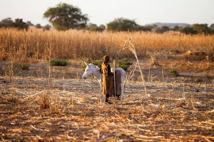 8. Chad: Desert Nation's Healthcare Desert (Image Credits: Flickr)