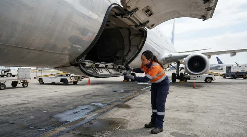 #6 - Cargo Door Seals and Belly Compartment Integrity (Image Credits: Gemini)
