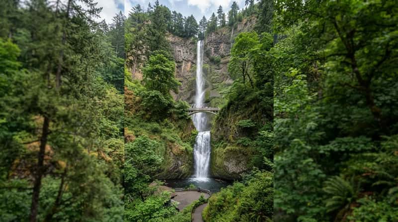 #13 - Multnomah Falls, Columbia River Gorge, Oregon (Image Credits: Gemini)