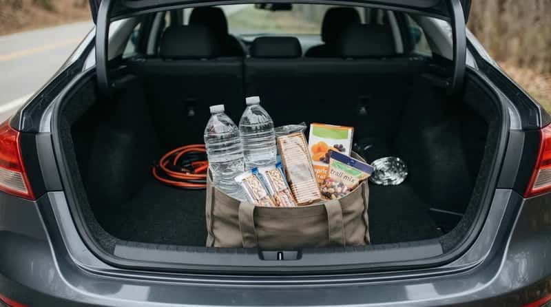 #5 - Water and Non-Perishable Snacks (Image Credits: Gemini)