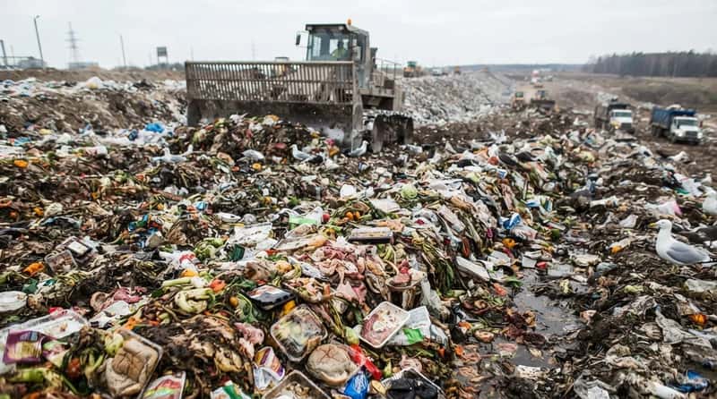 #3 - The Environmental Cost Is Hidden in Plain Sight (Image Credits: Gemini)