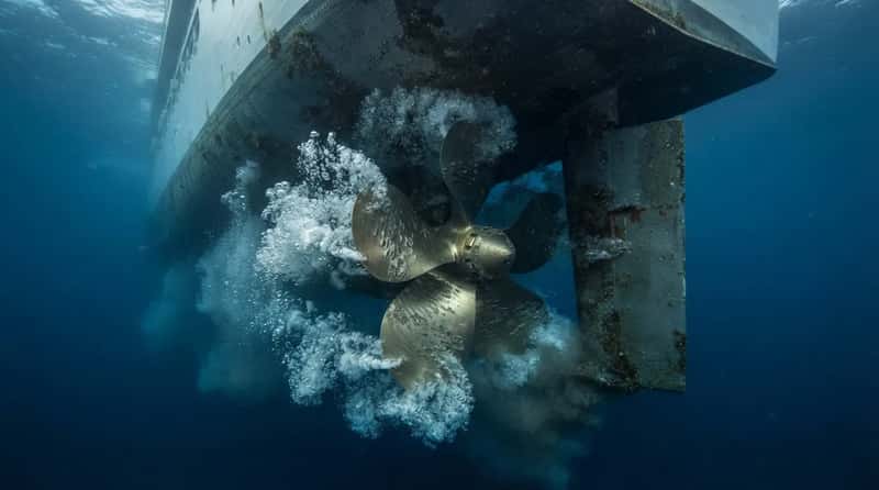 #13 - The Crackling Gravel Sound Under the Stern (Image Credits: Gemini)