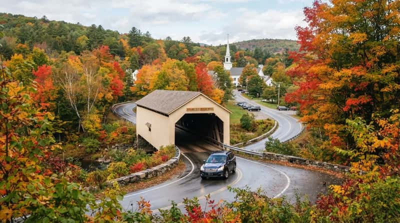 #13 - New England Fall Foliage Loop (Image Credits: Gemini)