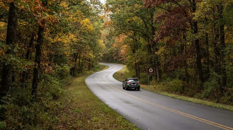 #11 - The Natchez Trace Parkway: Tennessee to Mississippi (Image Credits: Gemini)