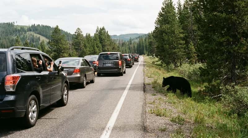 #11 - Stopping Dead in the Road (Image Credits: Gemini)