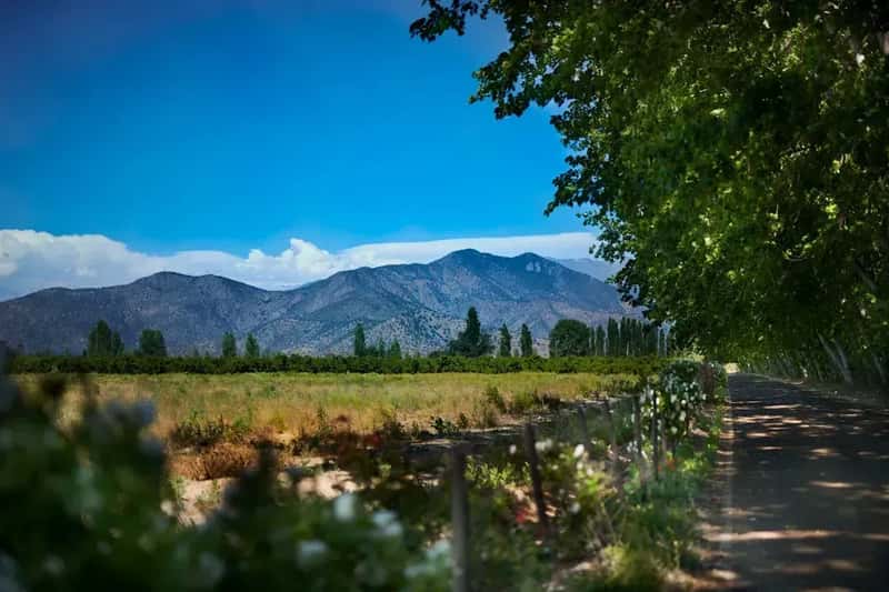 Chile: The Export Champion in Decline (Image Credits: Unsplash)