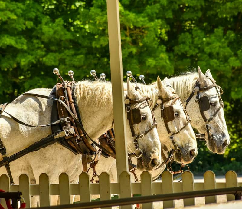 3. Mackinac Island's Car-Free Summers and Fudge Shops (Image Credits: Unsplash)
